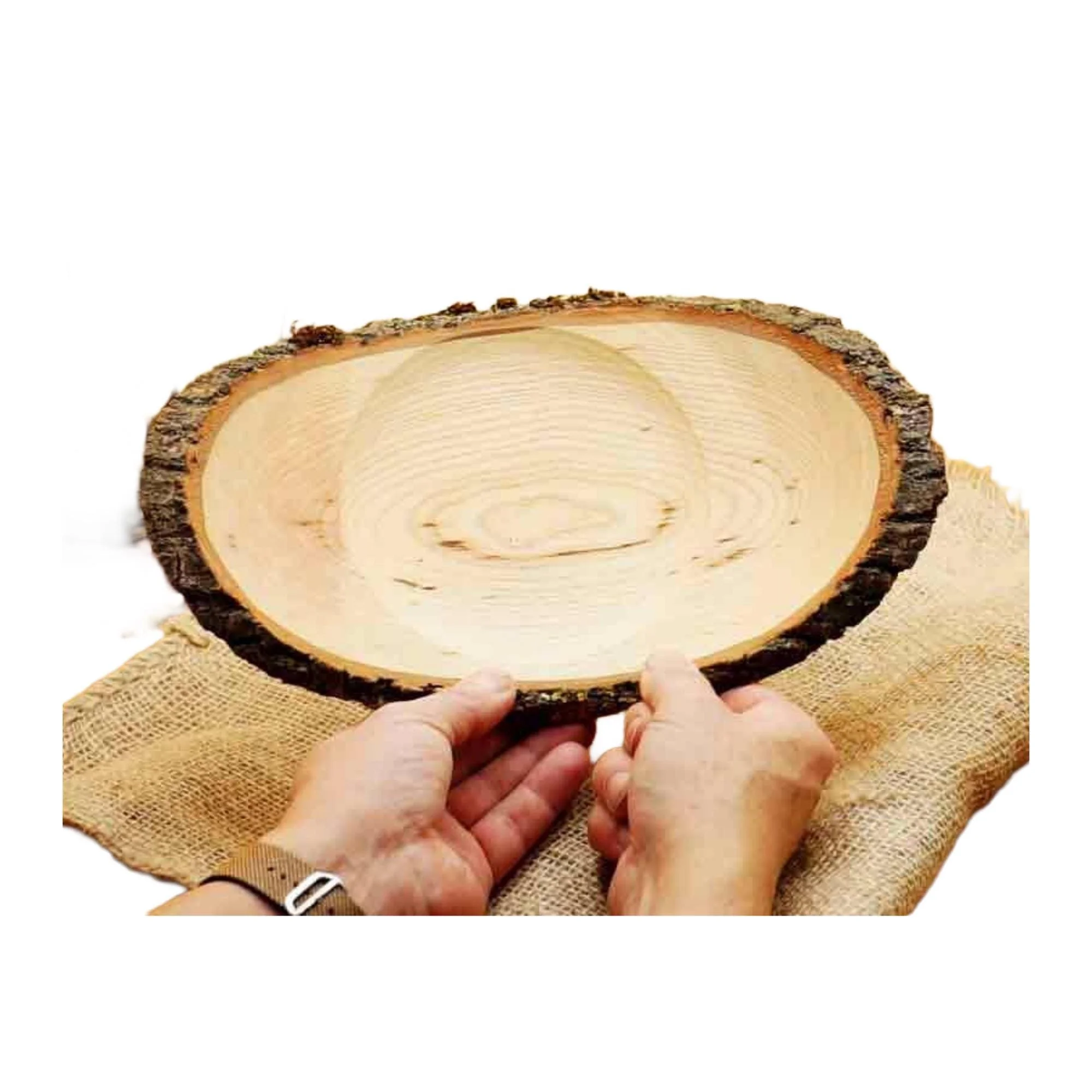 https://i.etsystatic.com/49116313/r/il/1f08e1/7680459613/il_fullxfull.7680459613_ii1f.jpg