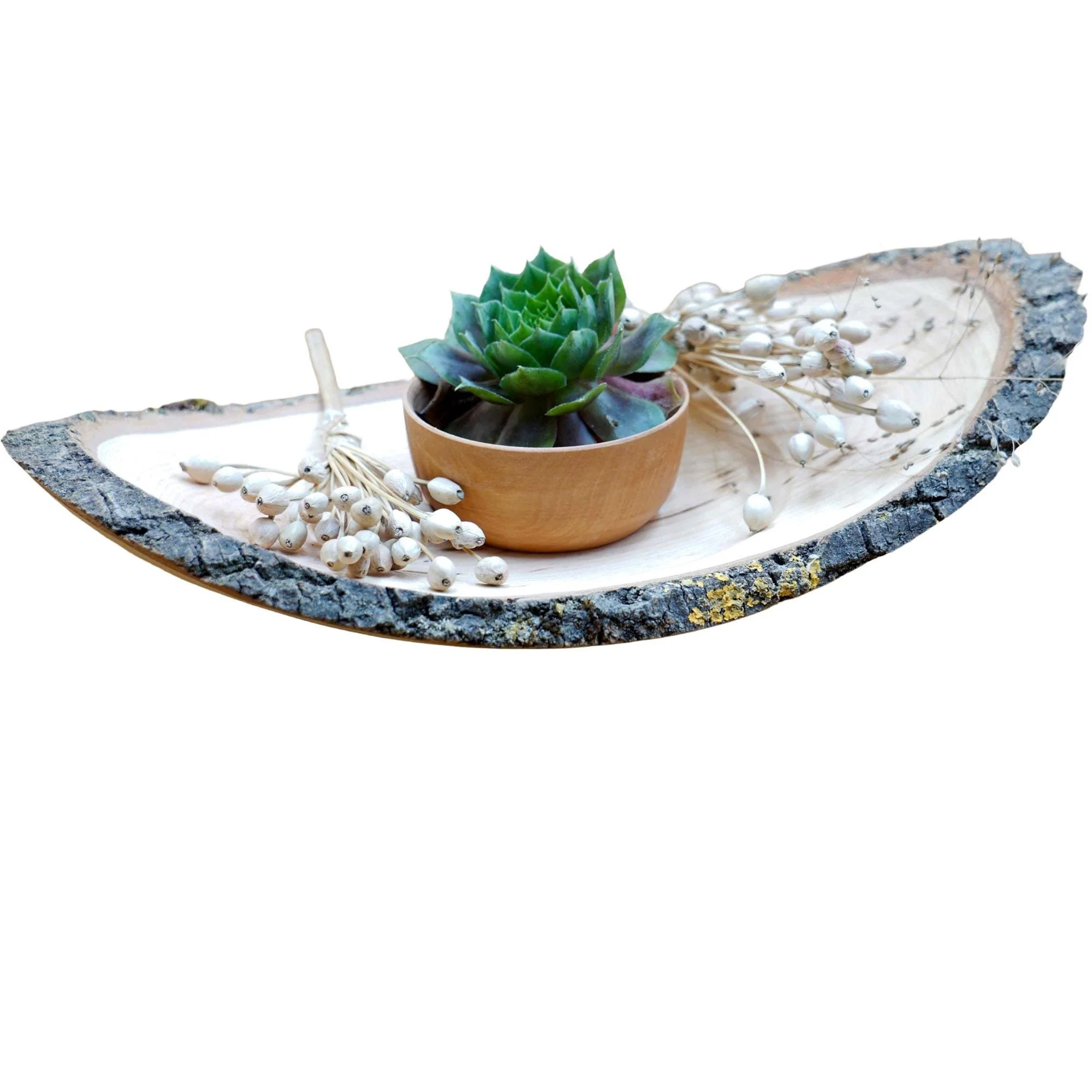 https://i.etsystatic.com/49116313/r/il/a9caca/7680458675/il_fullxfull.7680458675_6ha2.jpg