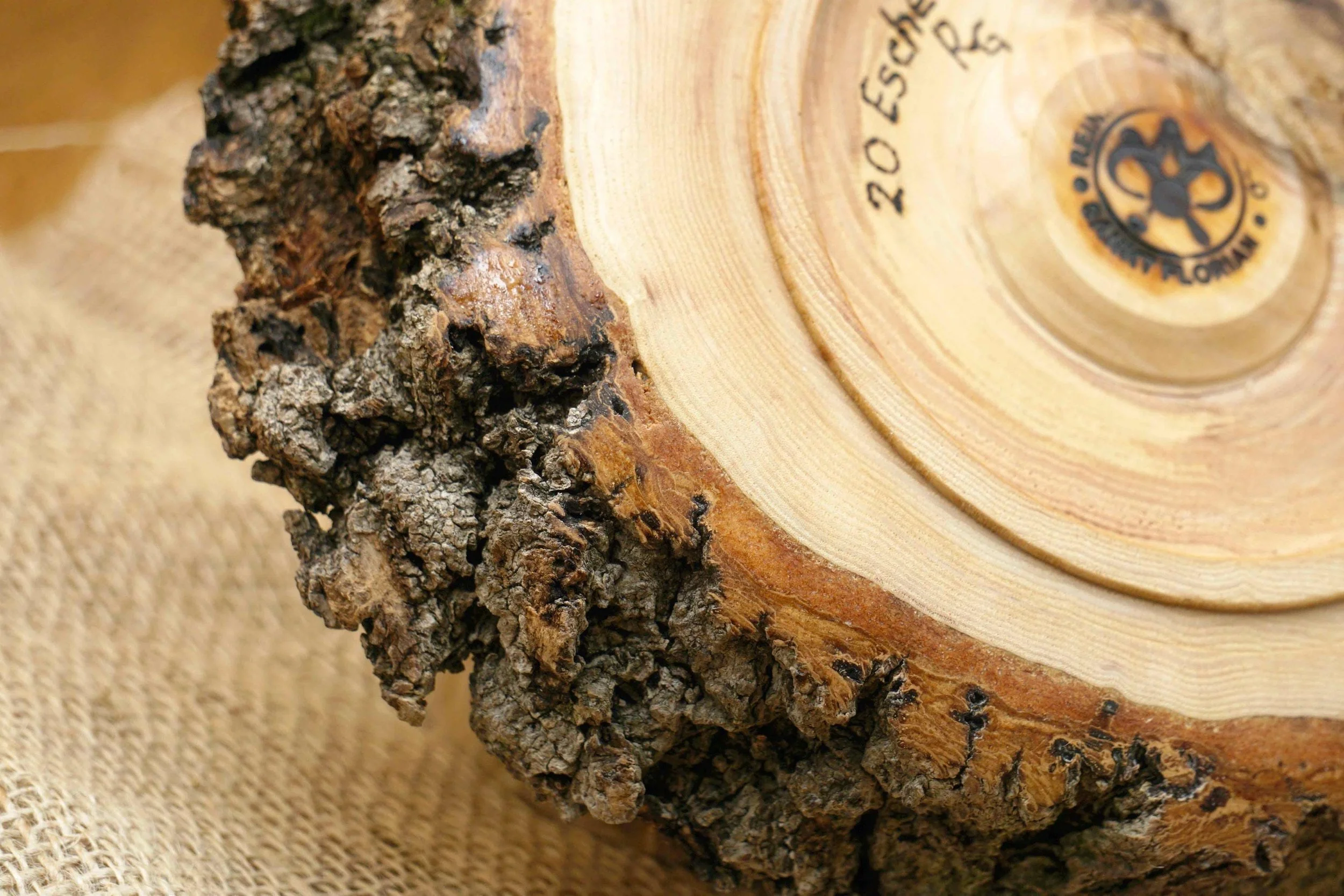 https://i.etsystatic.com/49116313/r/il/959bb0/6485112516/il_fullxfull.6485112516_1l9k.jpg