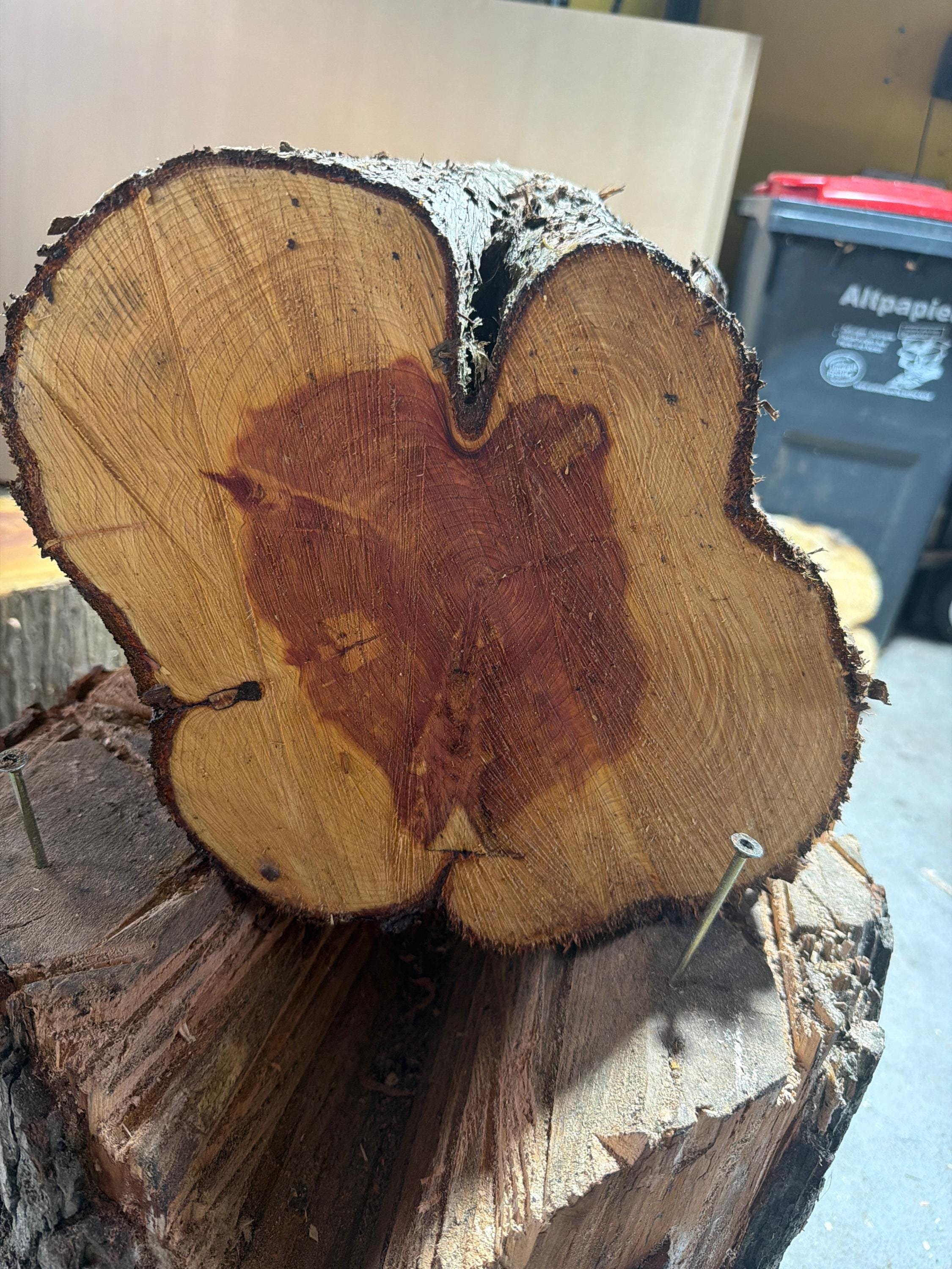 https://i.etsystatic.com/49116313/r/il/ef86e4/8194769566/il_fullxfull.8194769566_3n7v.jpg