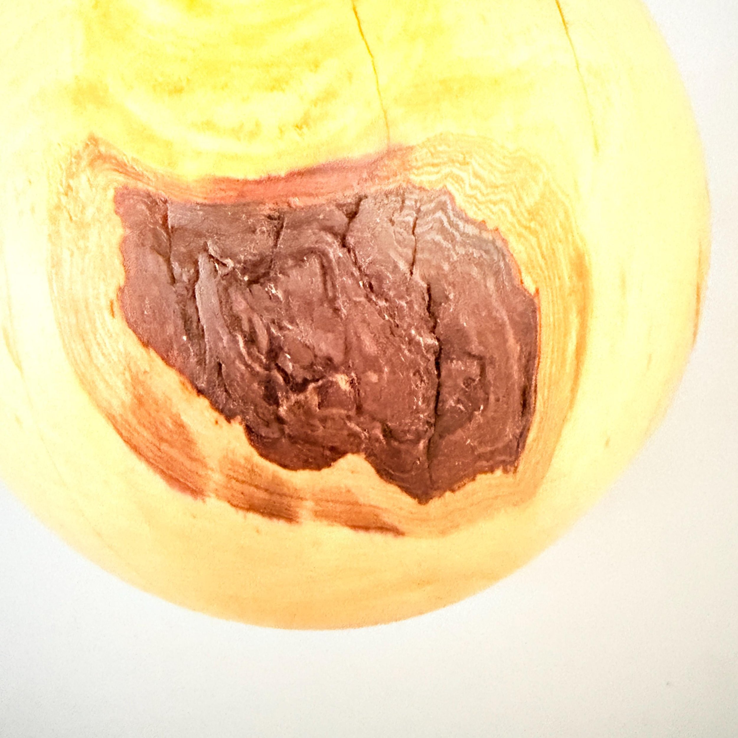 https://i.etsystatic.com/49116313/r/il/07c18b/8122993488/il_fullxfull.8122993488_3gd0.jpg