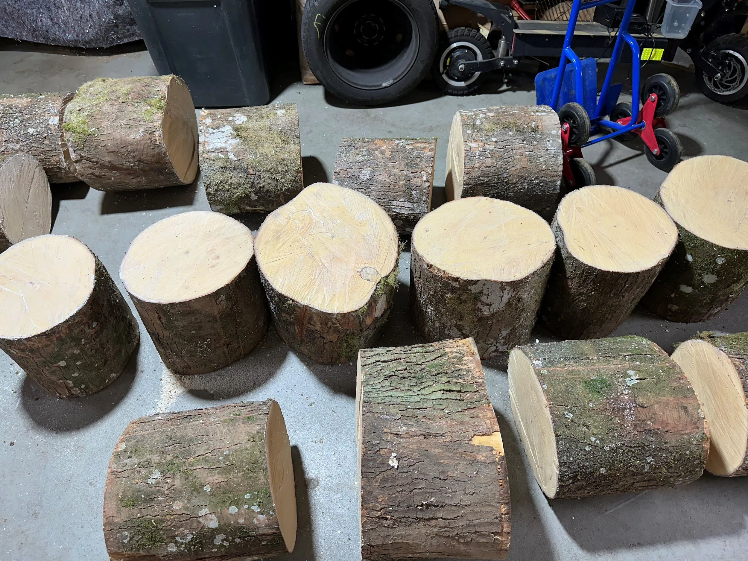 Vorbereitung von heimischem Rundholz – geschnittene Holzstücke als Ausgangsmaterial für handgefertigte Holzschalen.