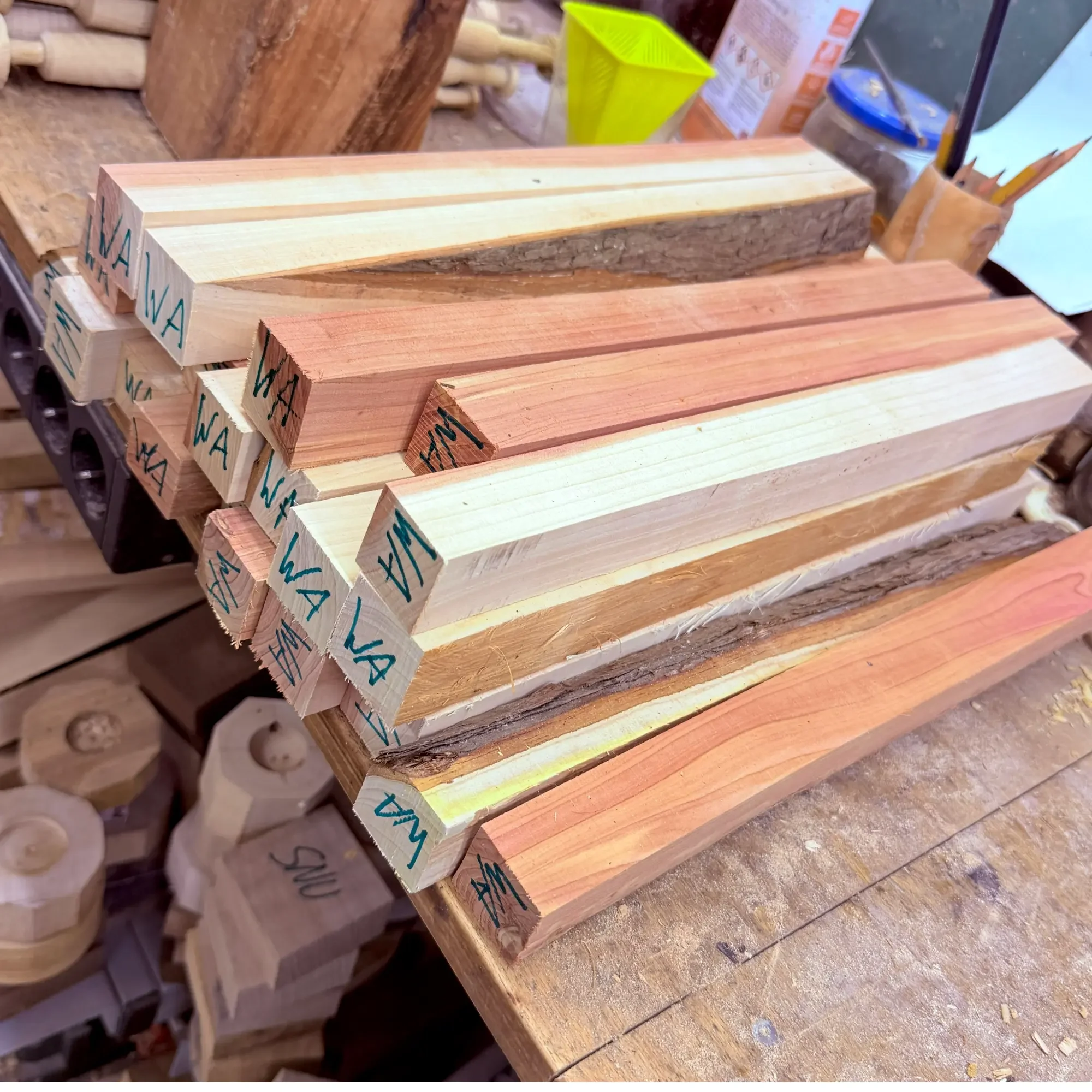 Austrian juniper timber prepared for spindle production after being sourced from a private garden in Linz.