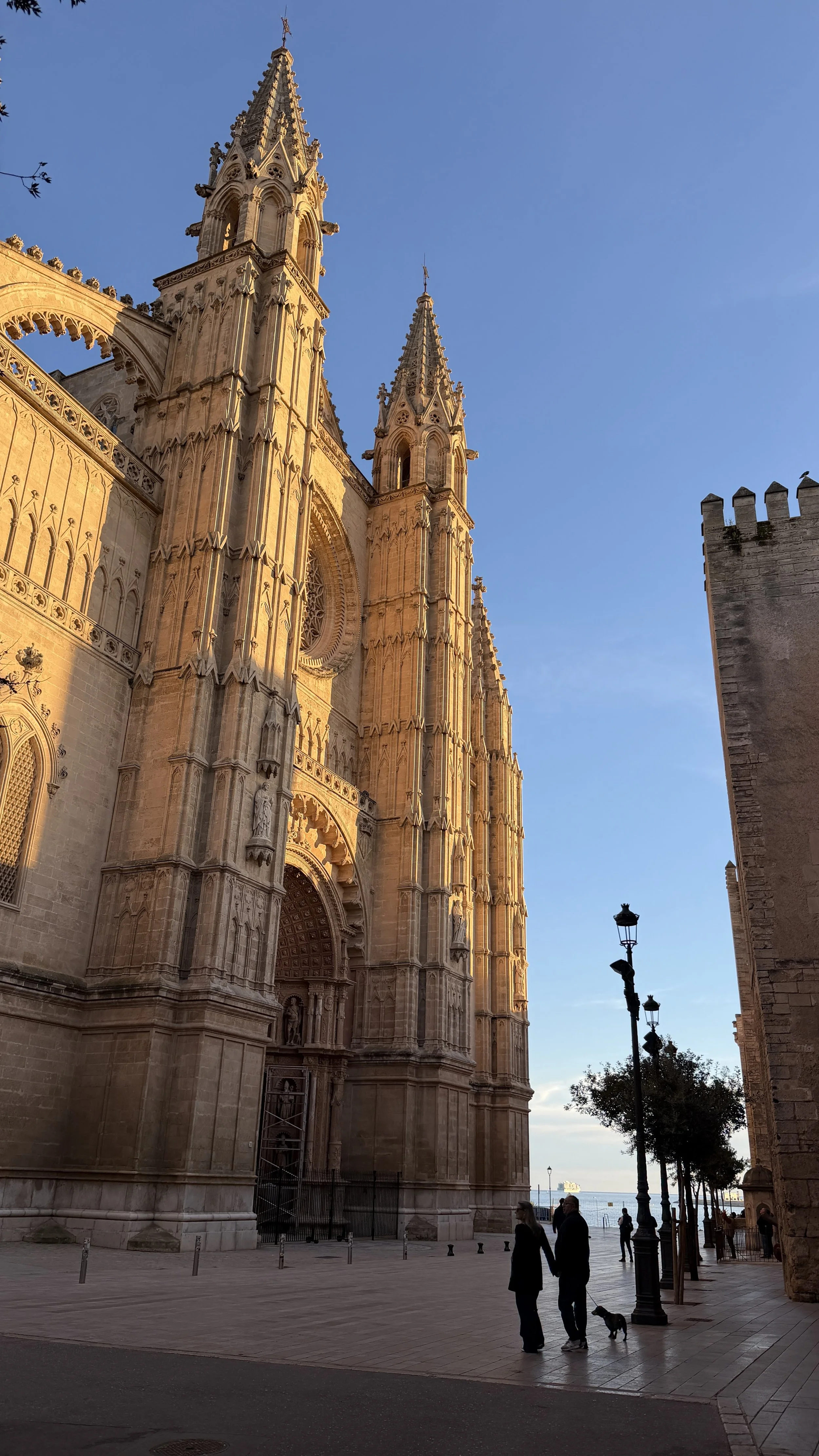 PALMA '26