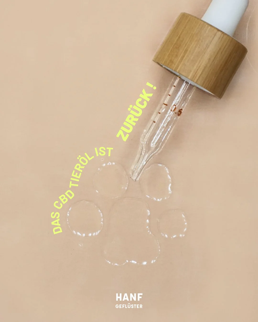 Packaging & Campaign Creation 