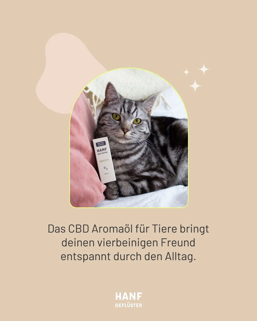 PET OIL 02 DACH.jpg