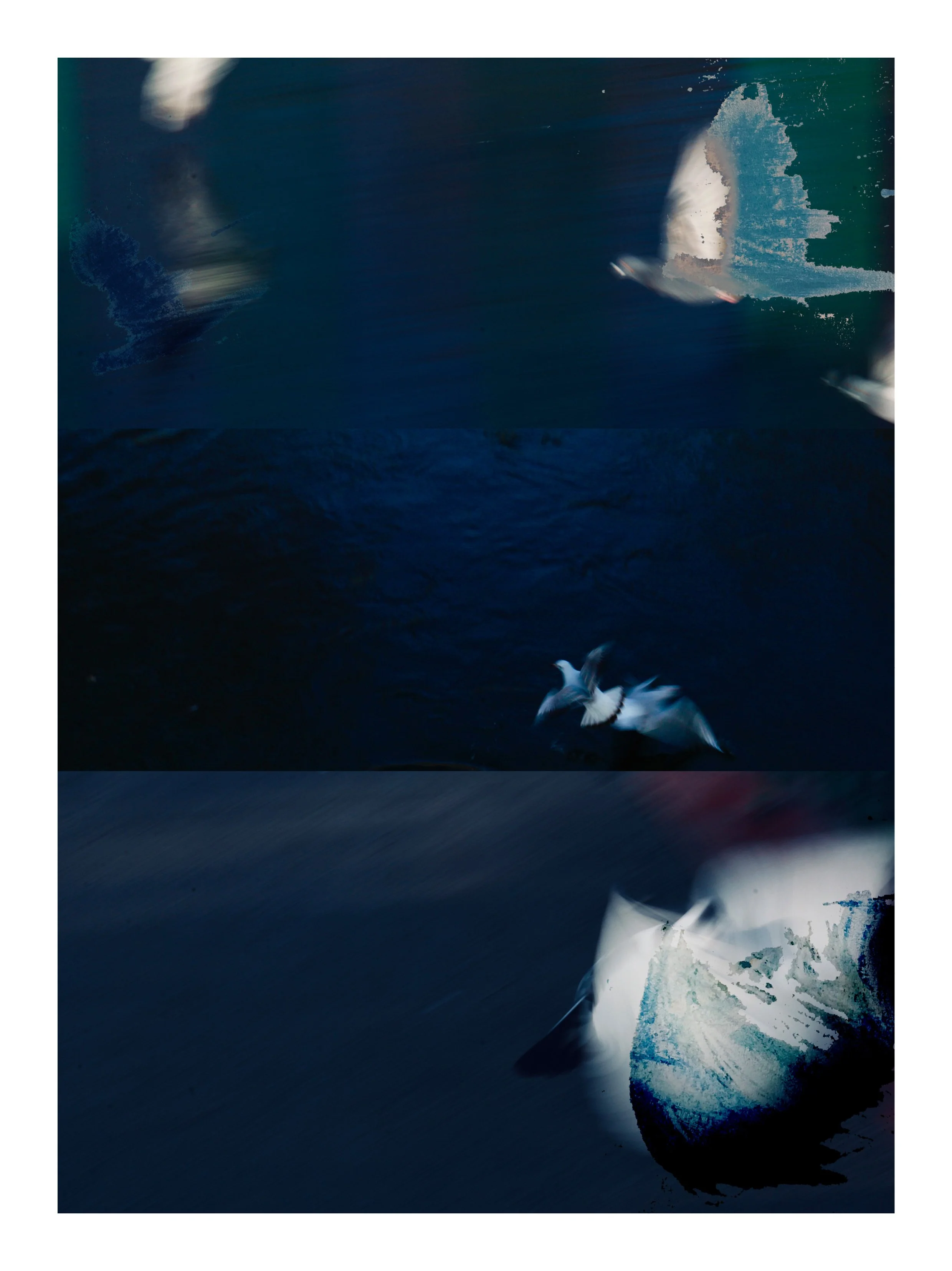 Abstract / 21