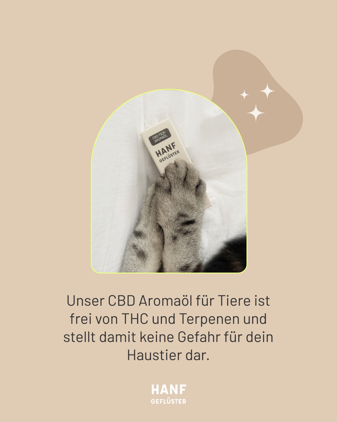 PET OIL 04 DACH.jpg