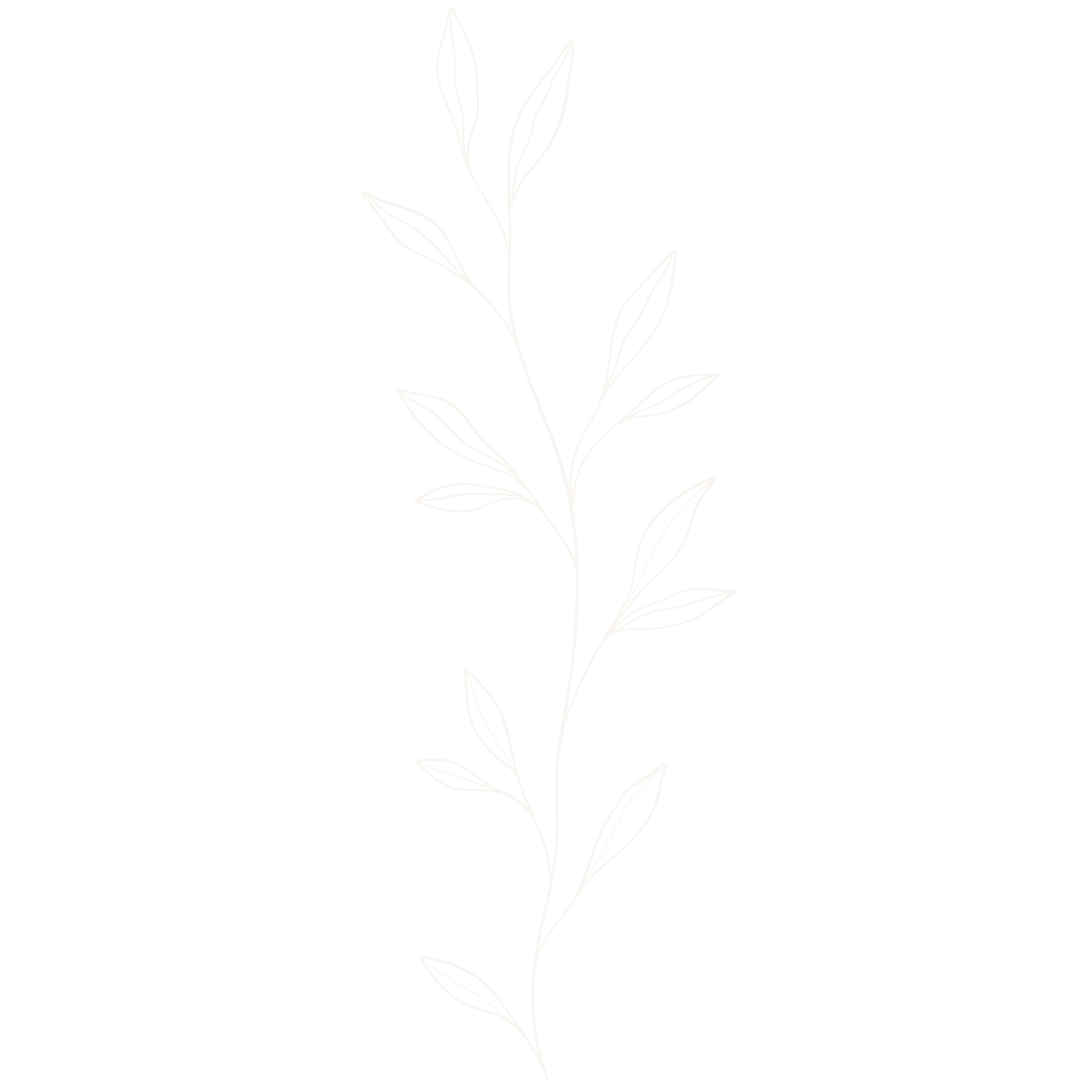 En simpel hvid stregtegning af en plante med flere blade på en sort baggrund.