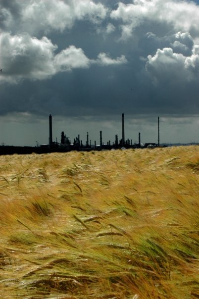 Milford Haven.jpg