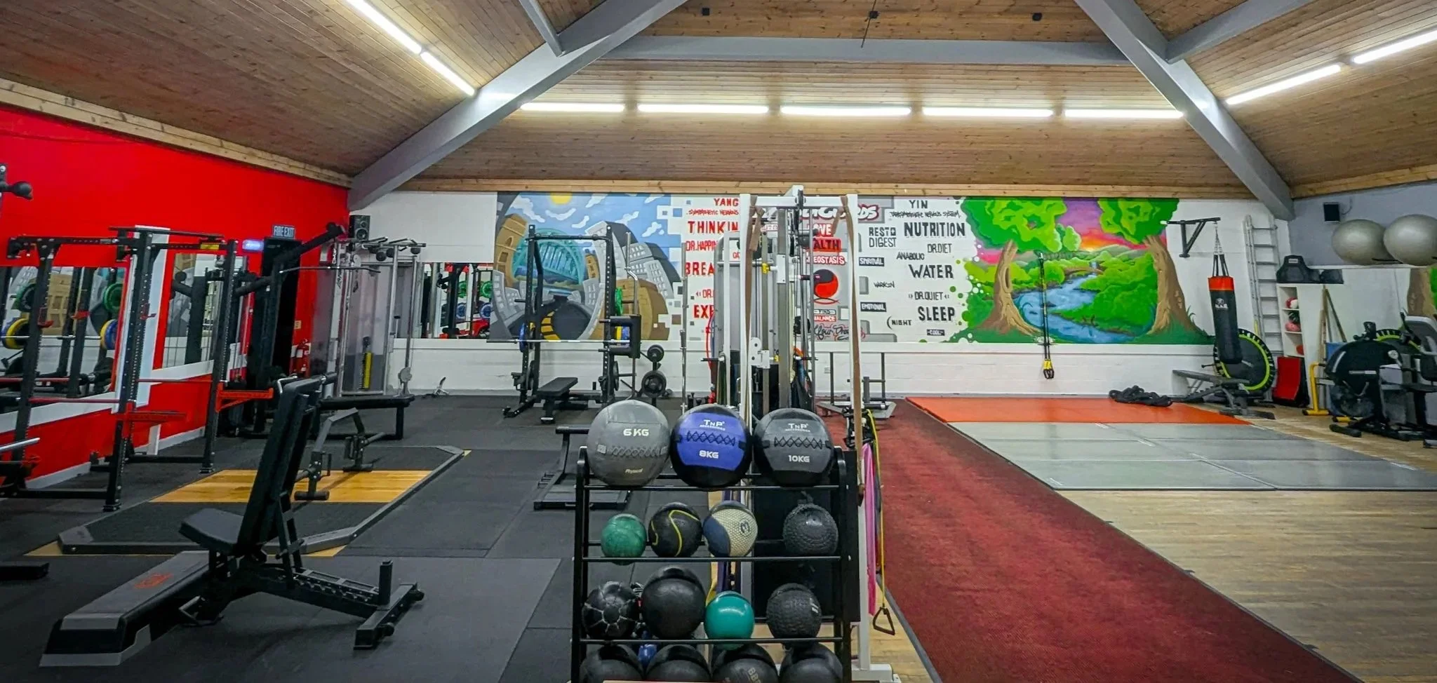 Interior of a gym with various exercise equipment, including weights, medicine balls, a punching bag, and a mural of a river and trees on the wall.