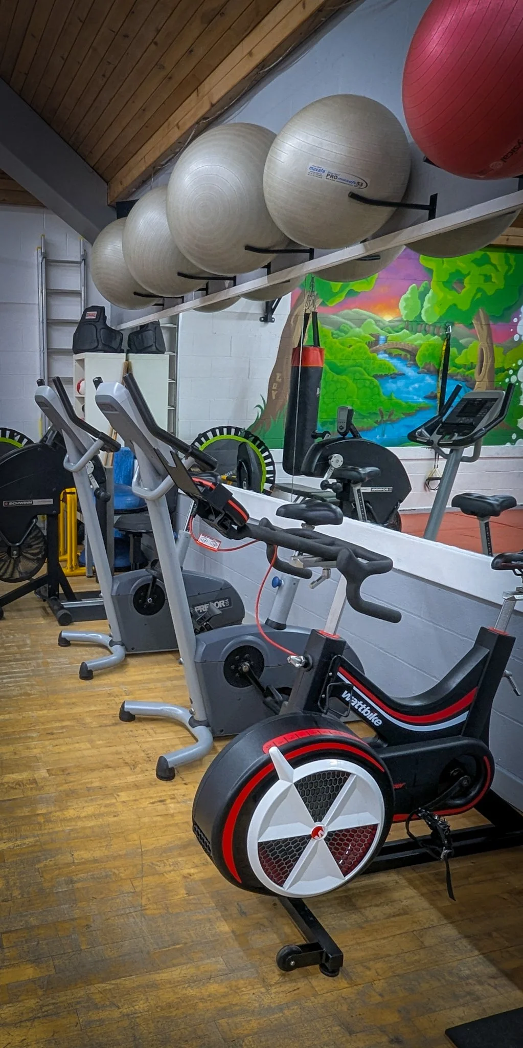 Gym with exercise bikes, stability balls on a shelf, a mural of a river and trees in the background, punching bag, and wall-mounted equipment.