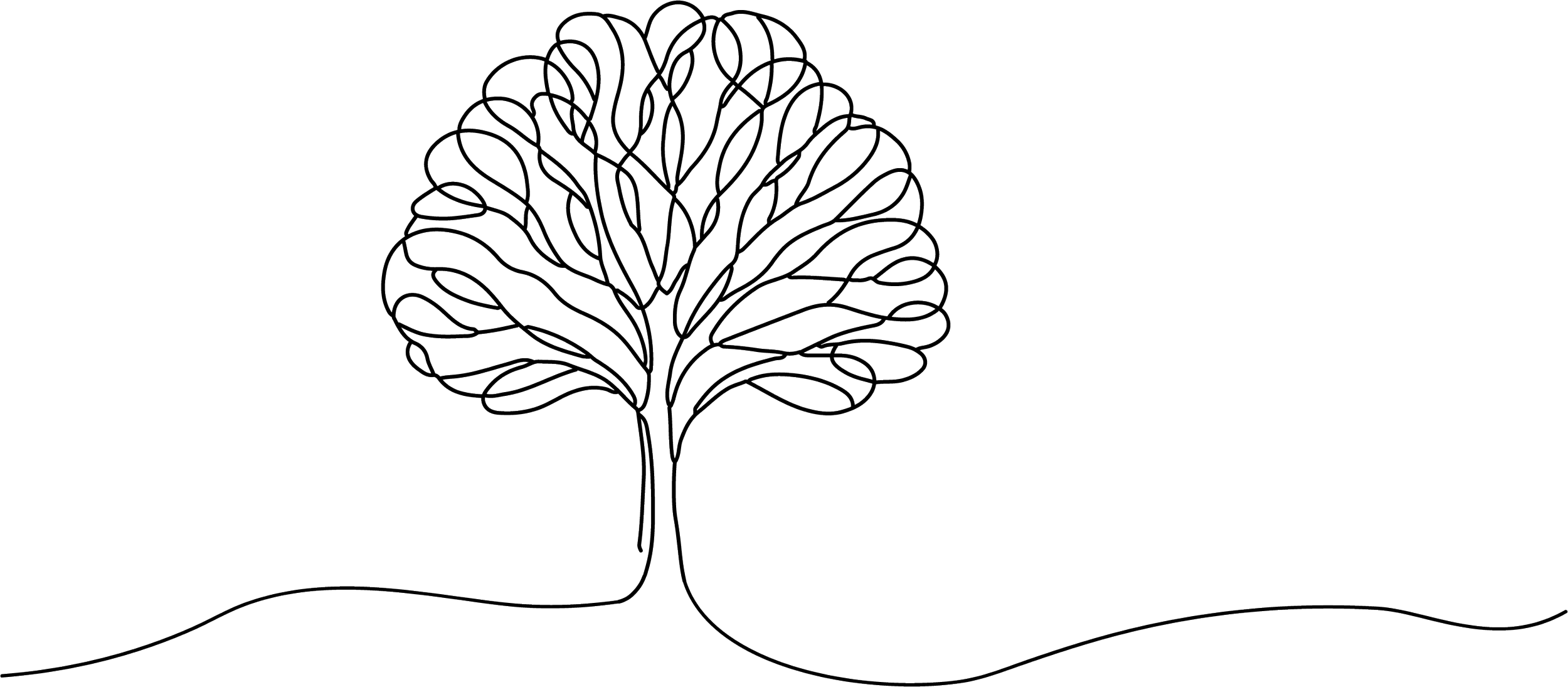 Black and white outline drawing of a tree with intricate, swirling branches, and a single root extending into the ground.