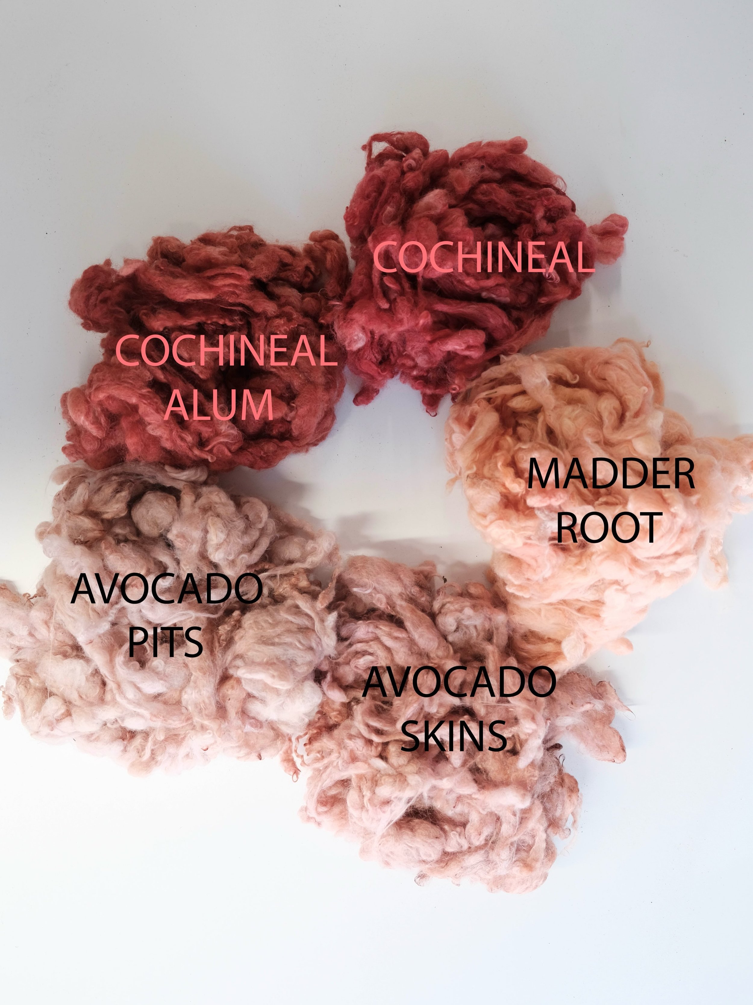 For the last two weeks, a few hours of every morning have gone into this: washing and scouring wool, mordanting it, boiling plants, roots, and insects into rich dye vats, chasing every shade of pink I know how to find.

This is the invisible part of 