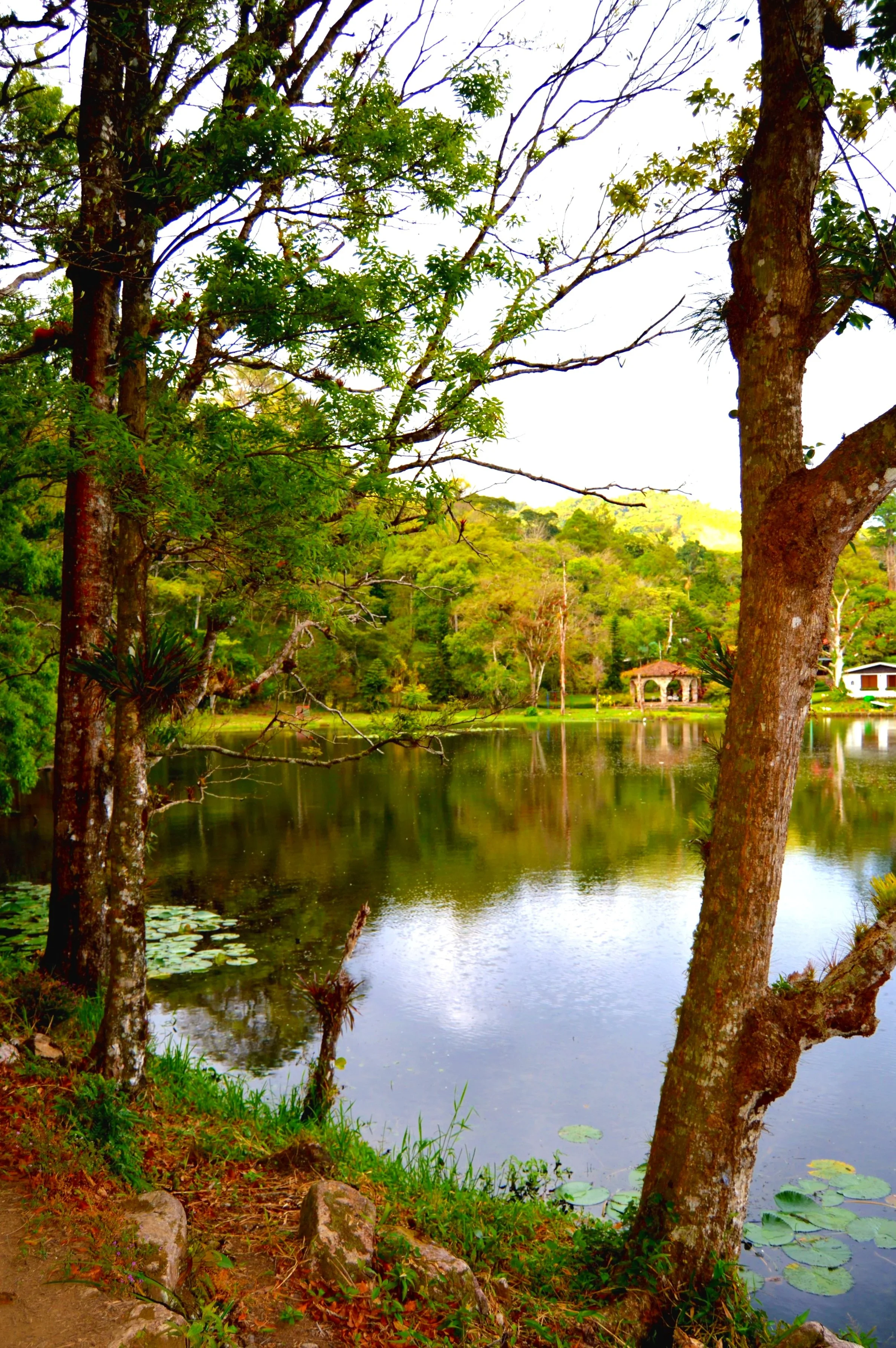 A scenic view of a lake surrounded by trees and greenery, with a small hut and chairs visible on the far side of the lake.
