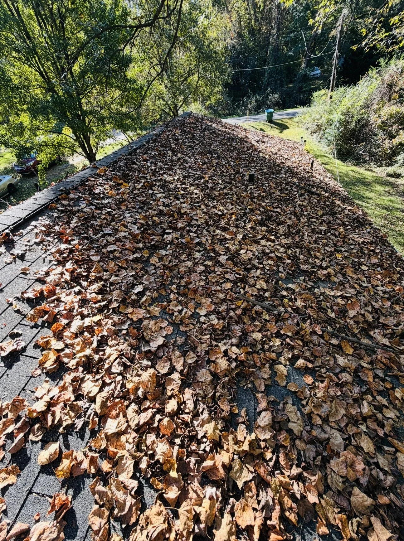 A roof covered with a thick layer of fallen autumn leaves, with trees and a street visible in the background.