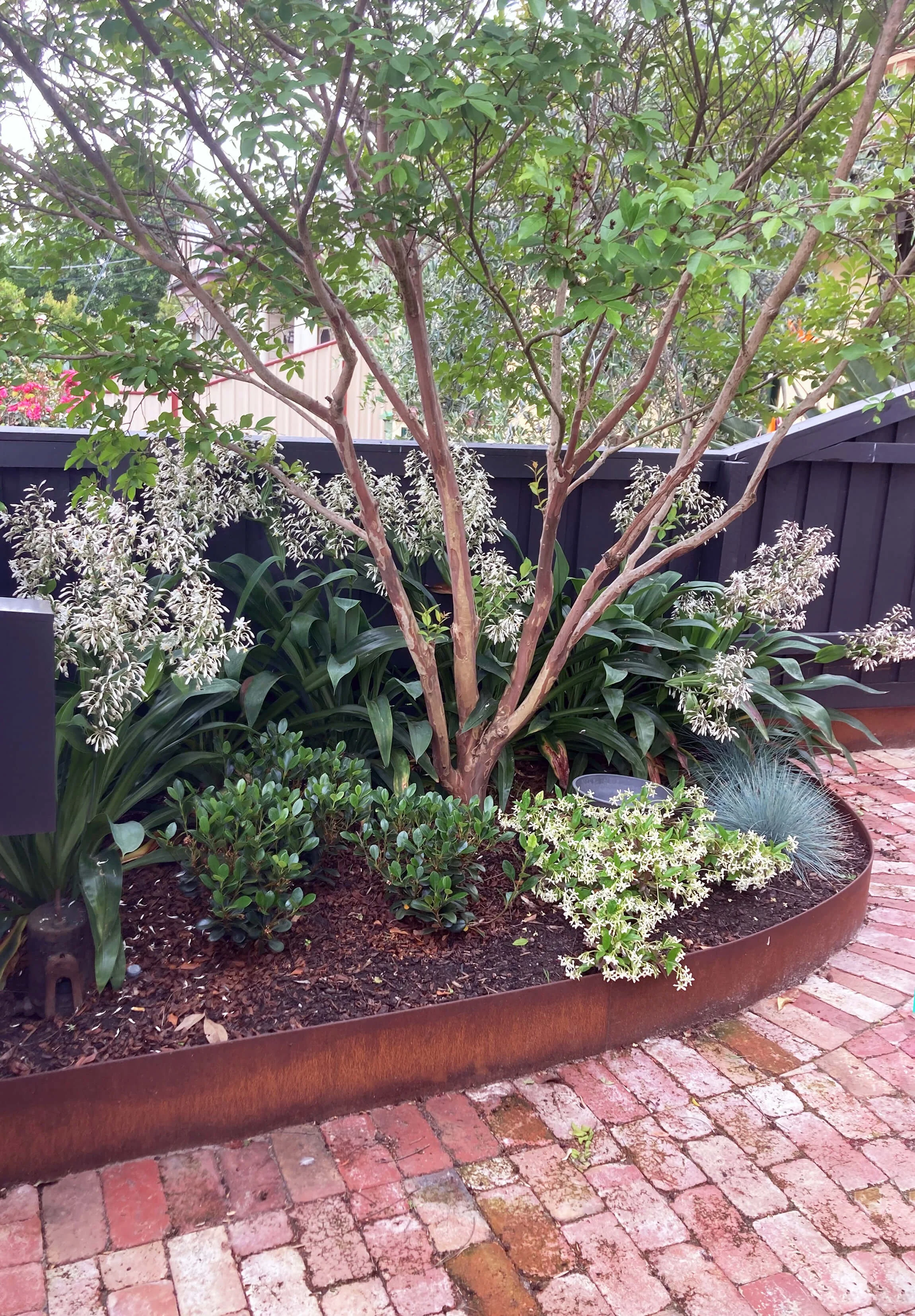 A garden bed with a small tree, surrounded by various green and white flowering plants, bordered by a rusty metal edging, and a brick pathway in the foreground.