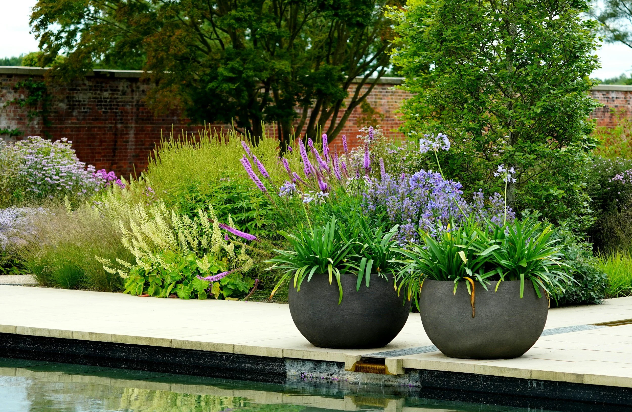 Flower pots with purple and white flowers on a patio, with lush green trees and a brick wall in the background.