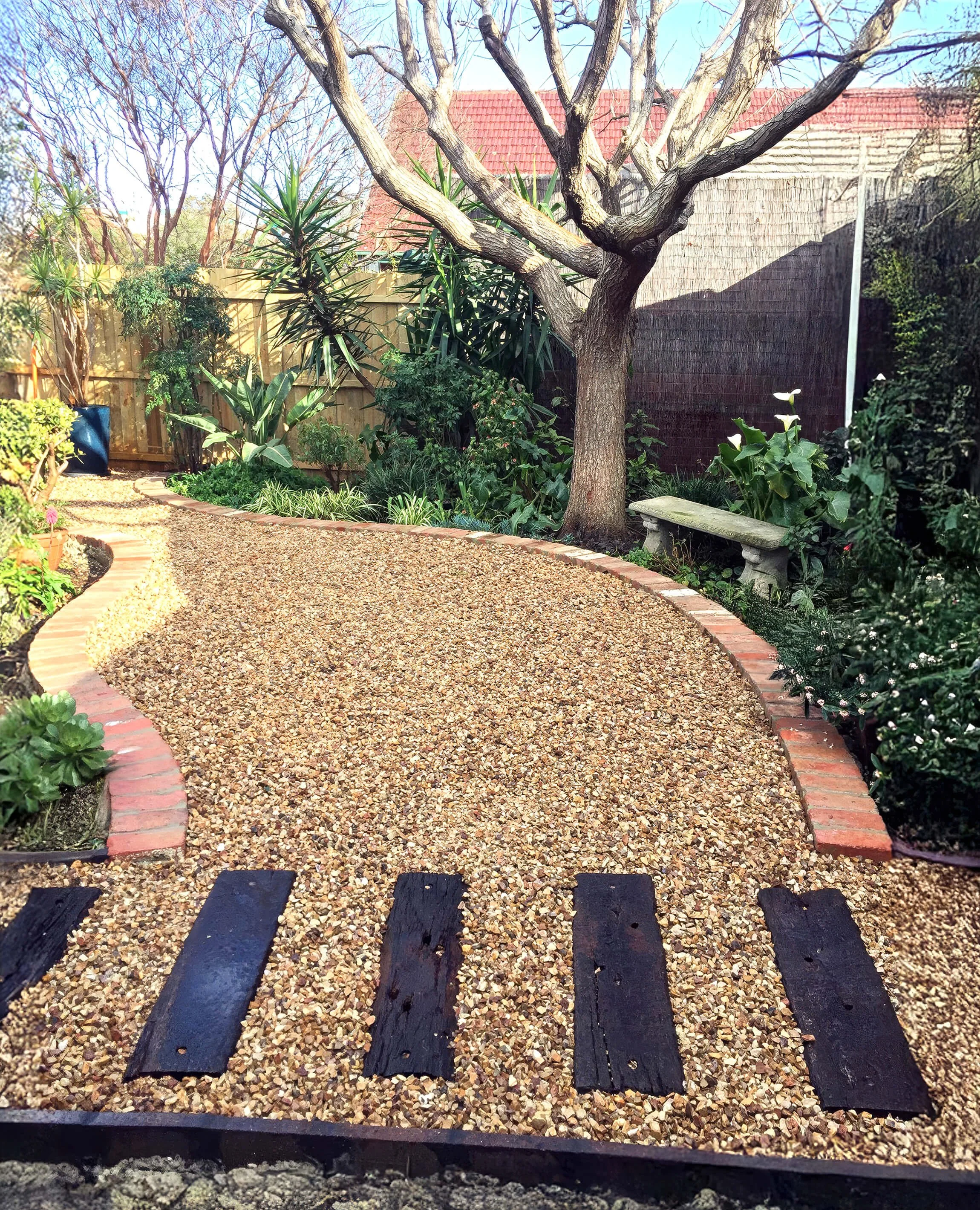 A garden with a gravel pathway bordered by bricks, a large leafless tree, various green plants, and a wooden bench, with a fence and trees in the background.