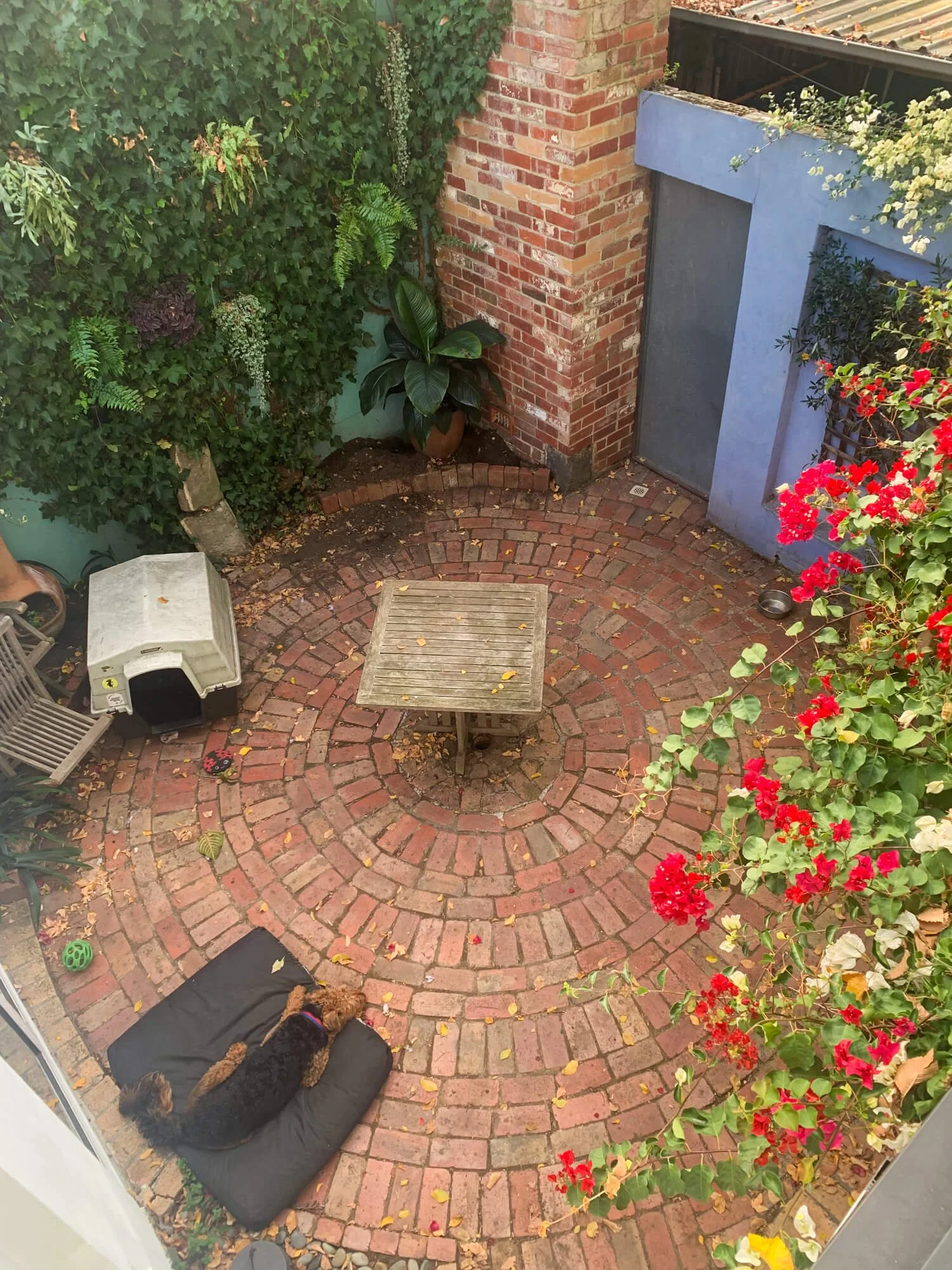 Recycled-Red-Brick-Courtyard -1.jpg