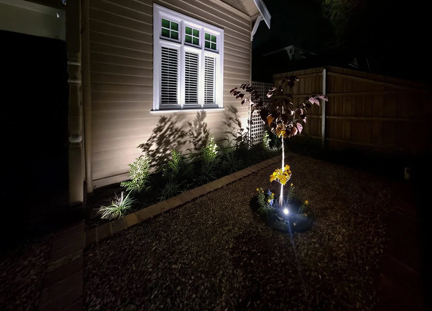 A small illuminated garden with a young tree and plants in a flower bed at night, next to the beige siding of a house, with a wooden fence in the background.