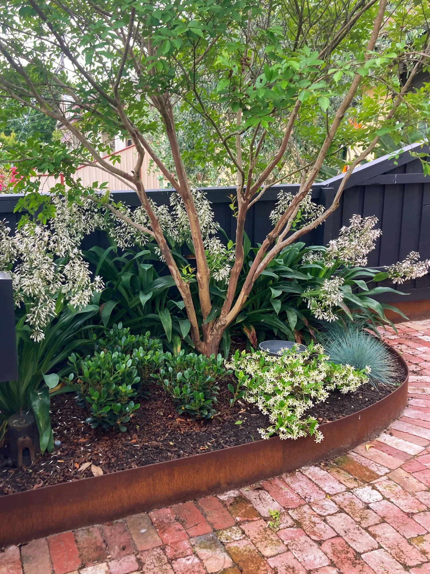 Northcote front garden with recycled brick detailing
