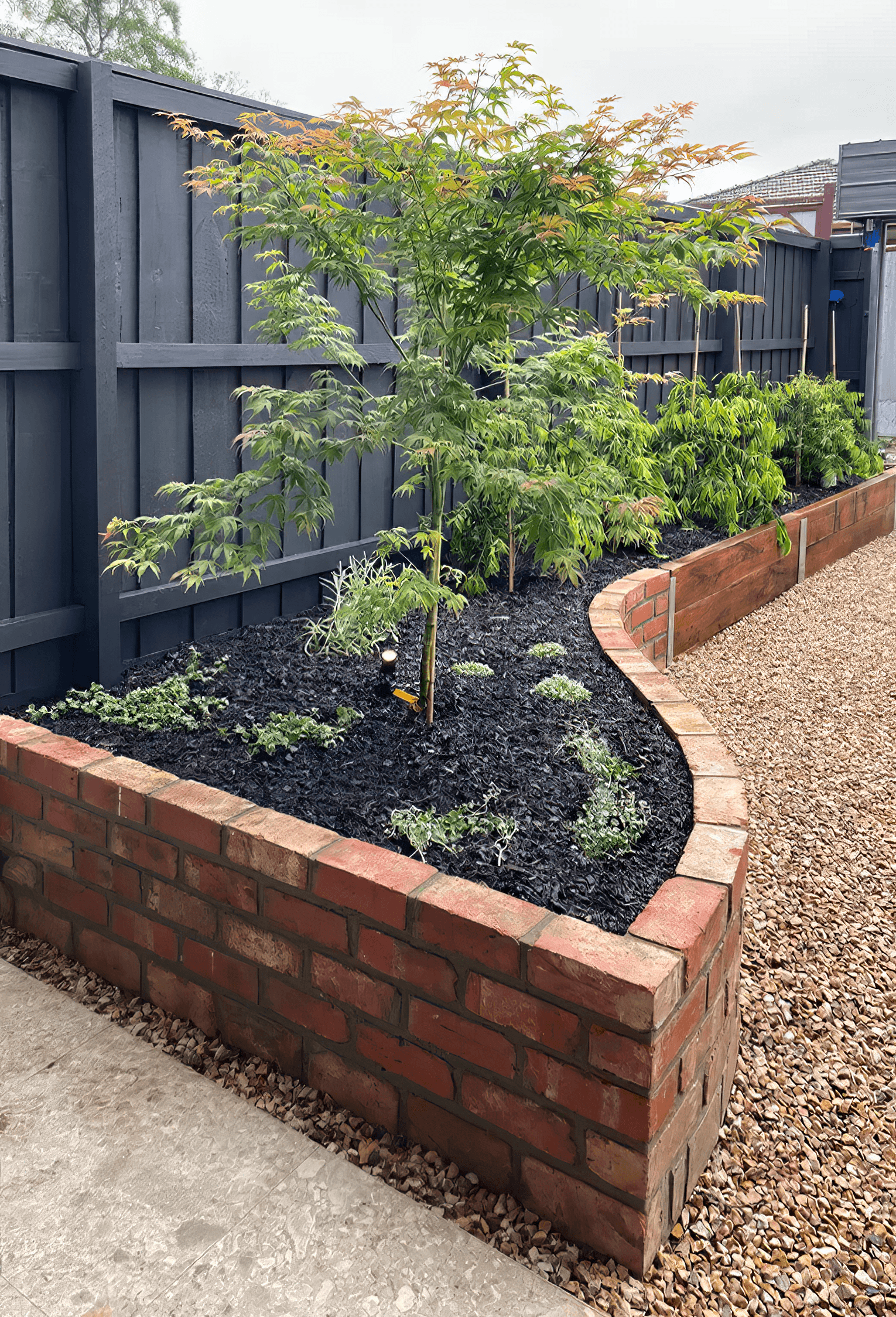 A raised garden bed made of red bricks filled with dark soil and young plants, next to a gravel pathway and a dark gray wooden fence.