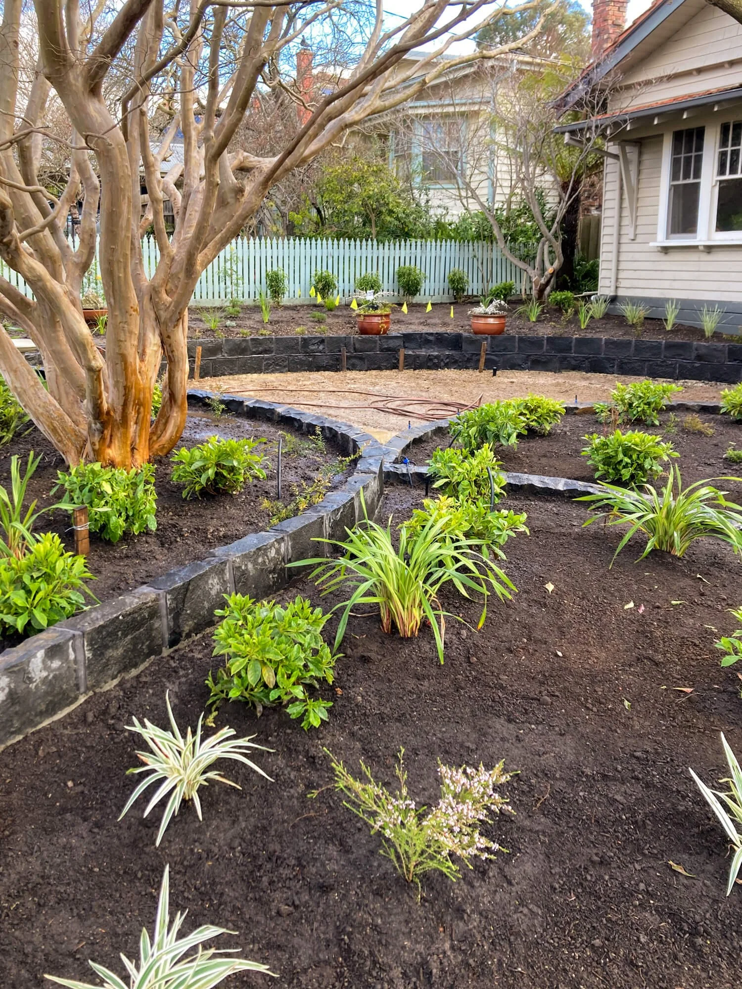 Front-Garden-Bluestone-Steppers-8.jpg