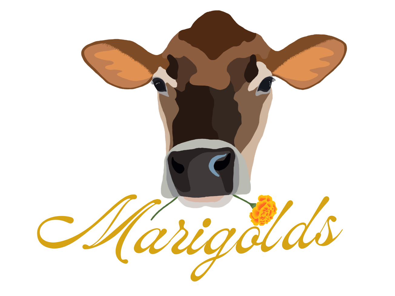 Marigolds Gelato