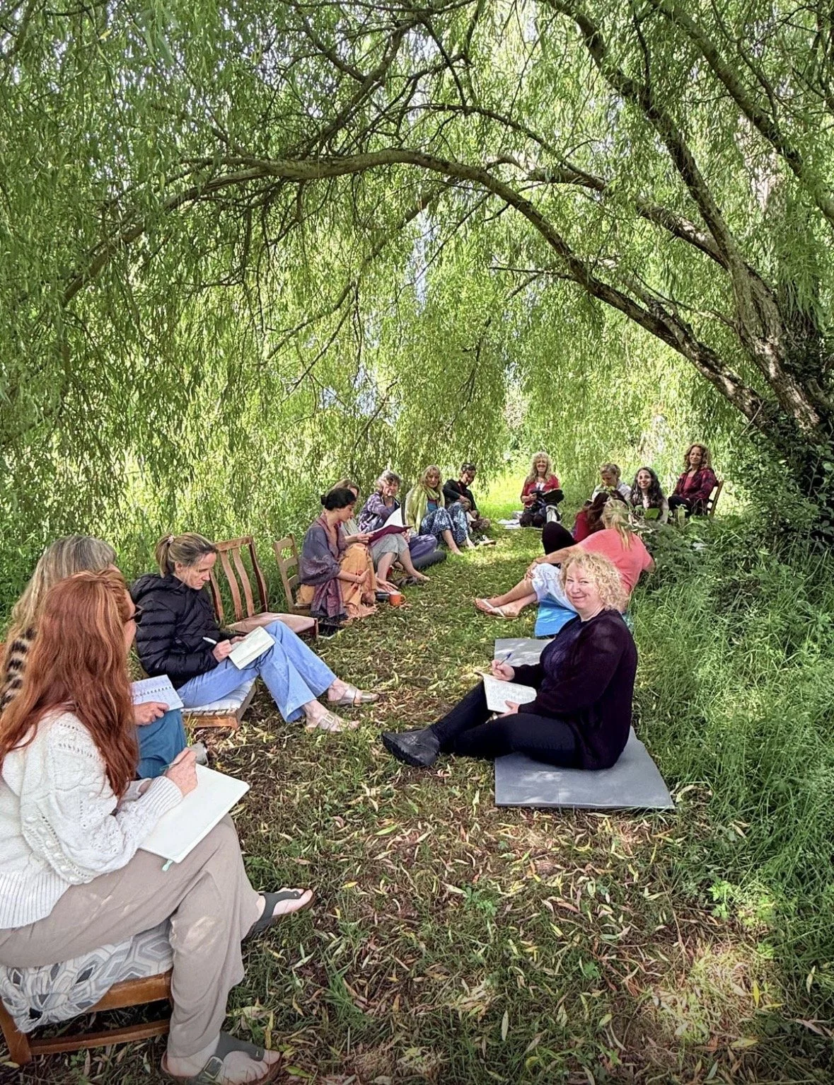 Learning the myth, magic and medicine of willow