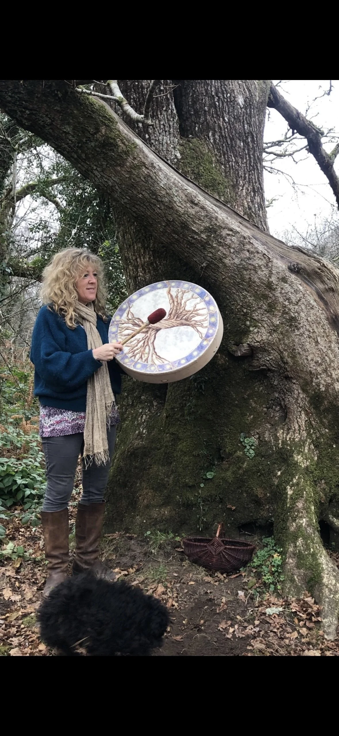 A woman with curly blonde hair wearing a blue sweater, a beige scarf, and dark pants, standing in a forest holding a drum decorated with a tree and roots design. A large, old tree with moss and bark behind her. A black dog is in the foreground, and a woven basket lies on the ground.