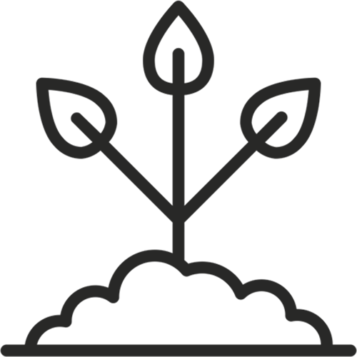 An icon of a young plant sprouting from the soil with three leaves.