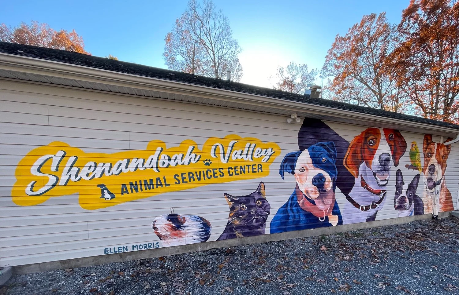Murals