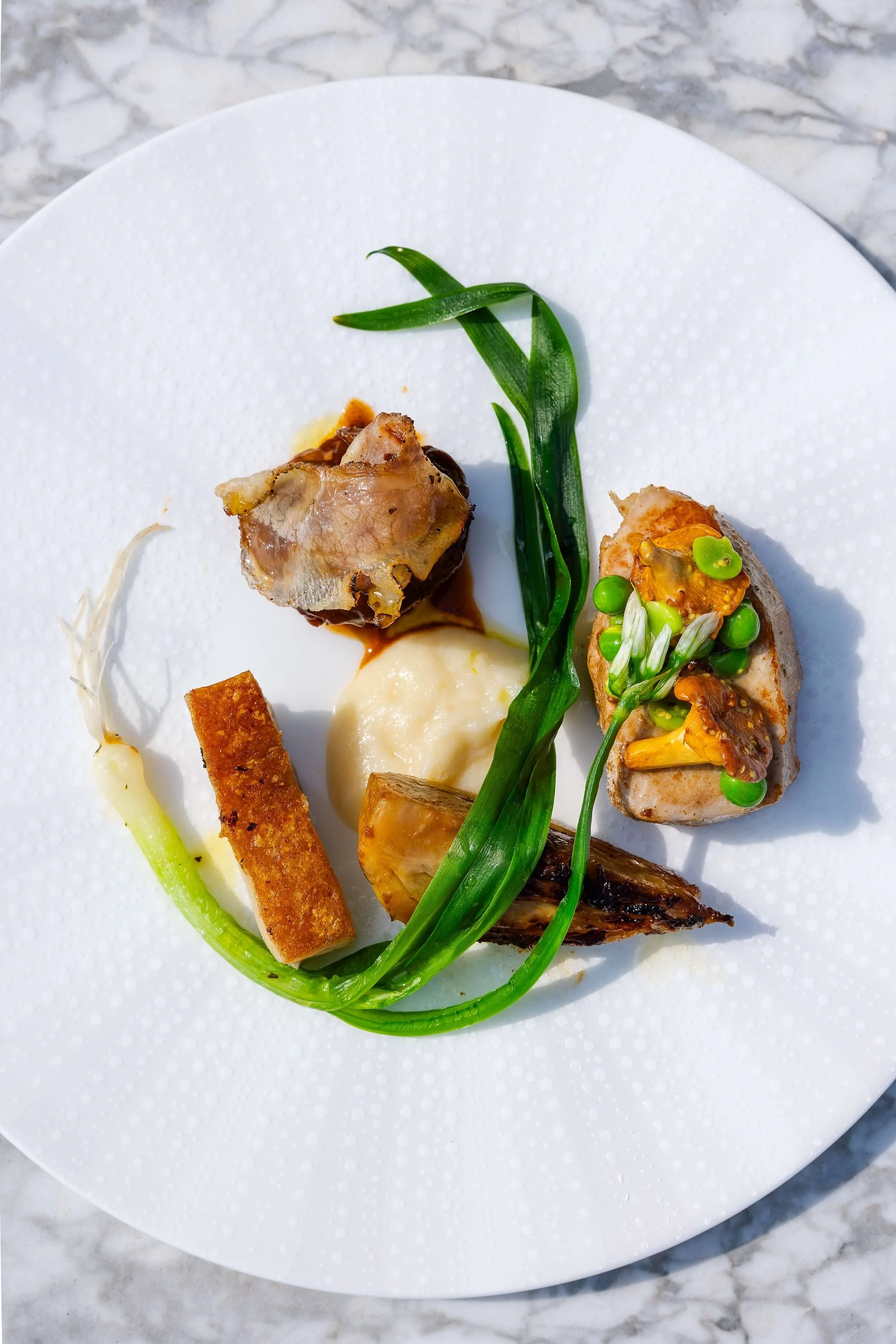 A white plate with a gourmet dish including seared meat, mashed potatoes, a piece of toasted bread, and garnished with green vegetables and herbs, all on a marble surface.