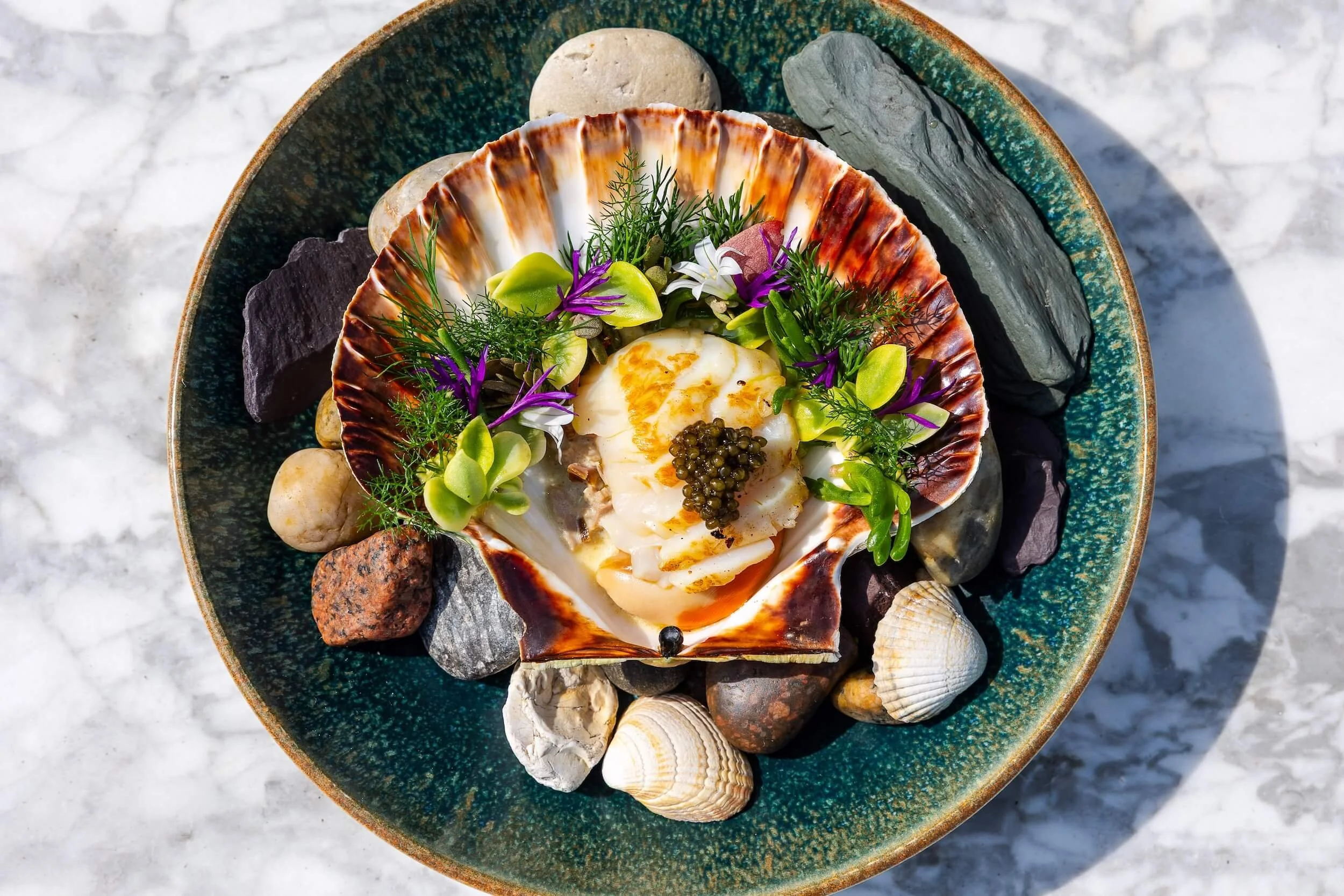 Seafood dish with a poached egg, surrounded by shells, rocks, and flowers on a green ceramic plate.