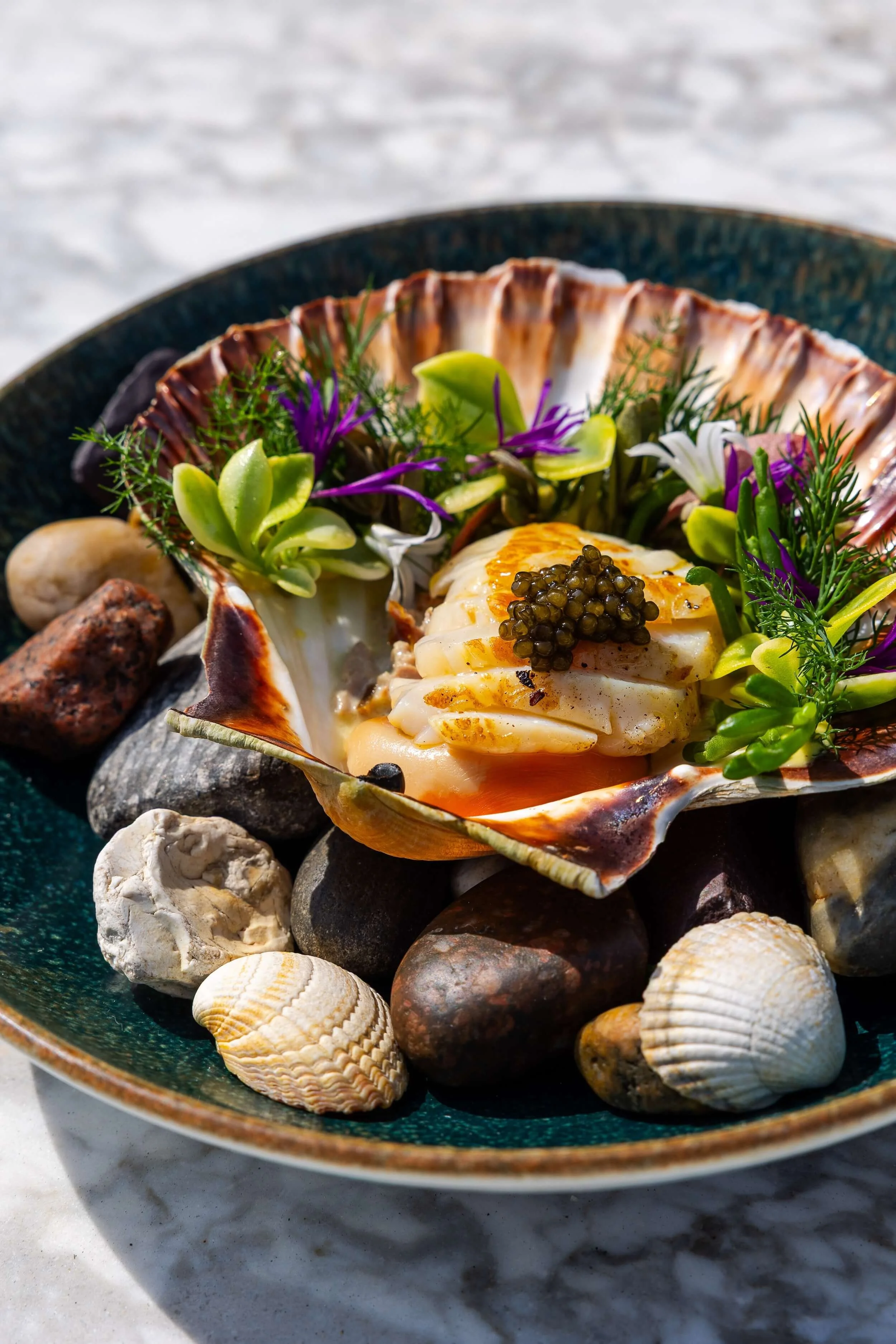 Seafood dish featuring scallops topped with caviar, served in a shell with herbs, surrounded by seashells and rocks on a dark plate.