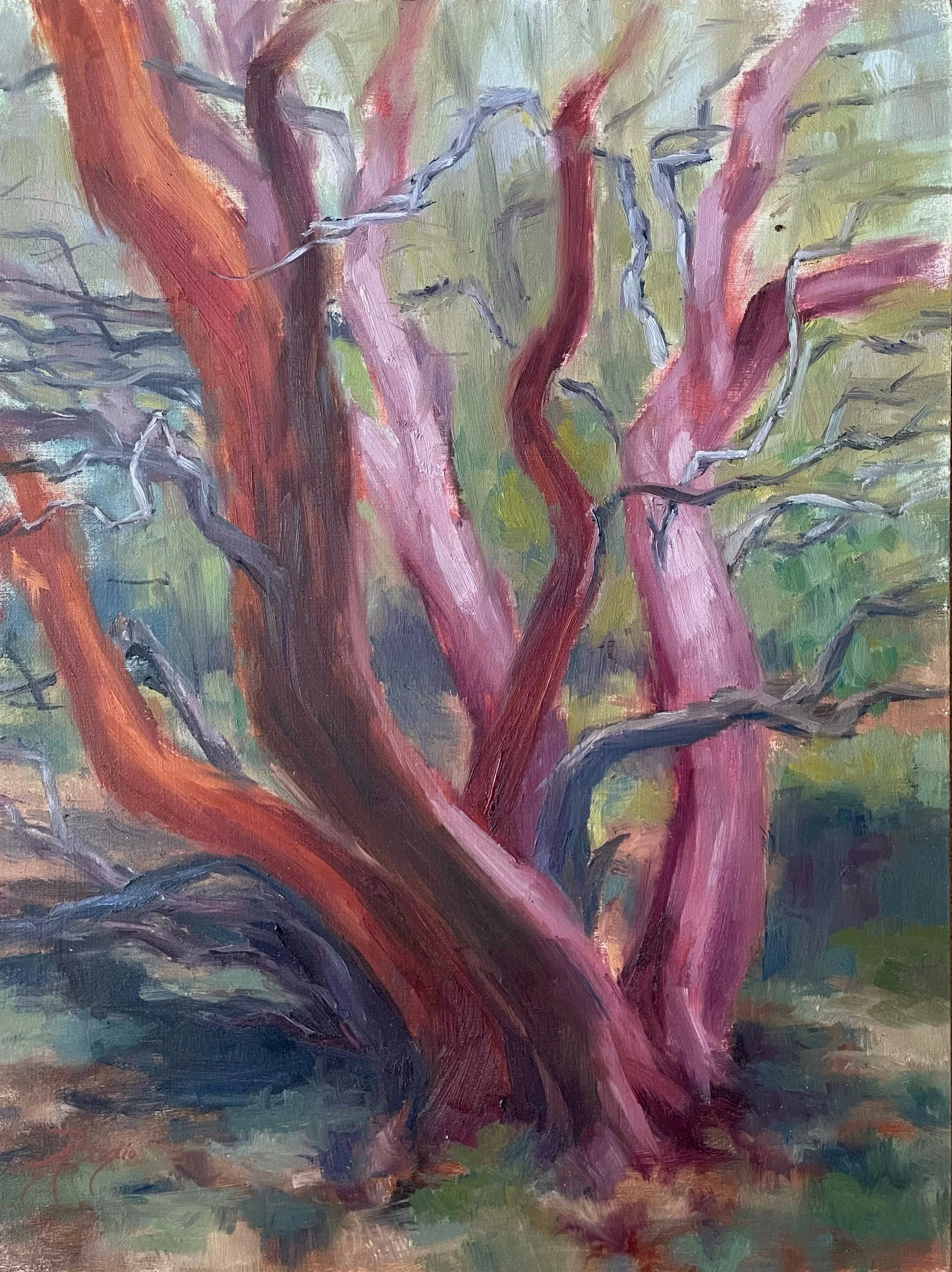 Manzanita