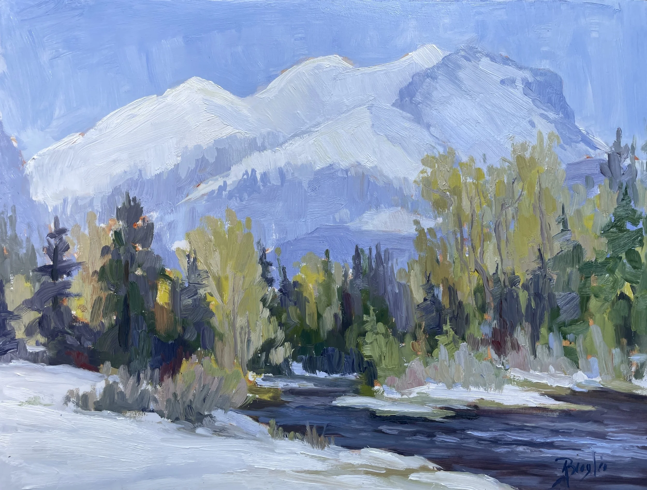 Last Snow / Kennedy Meadow