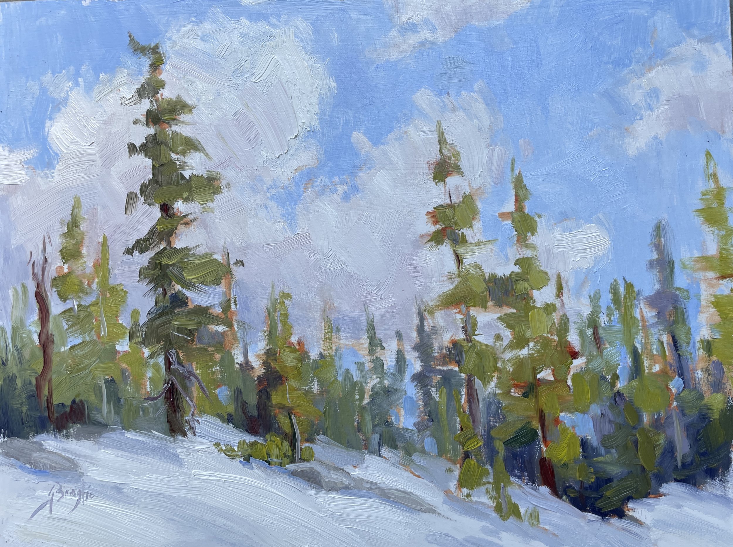 Windy Hemlocks
