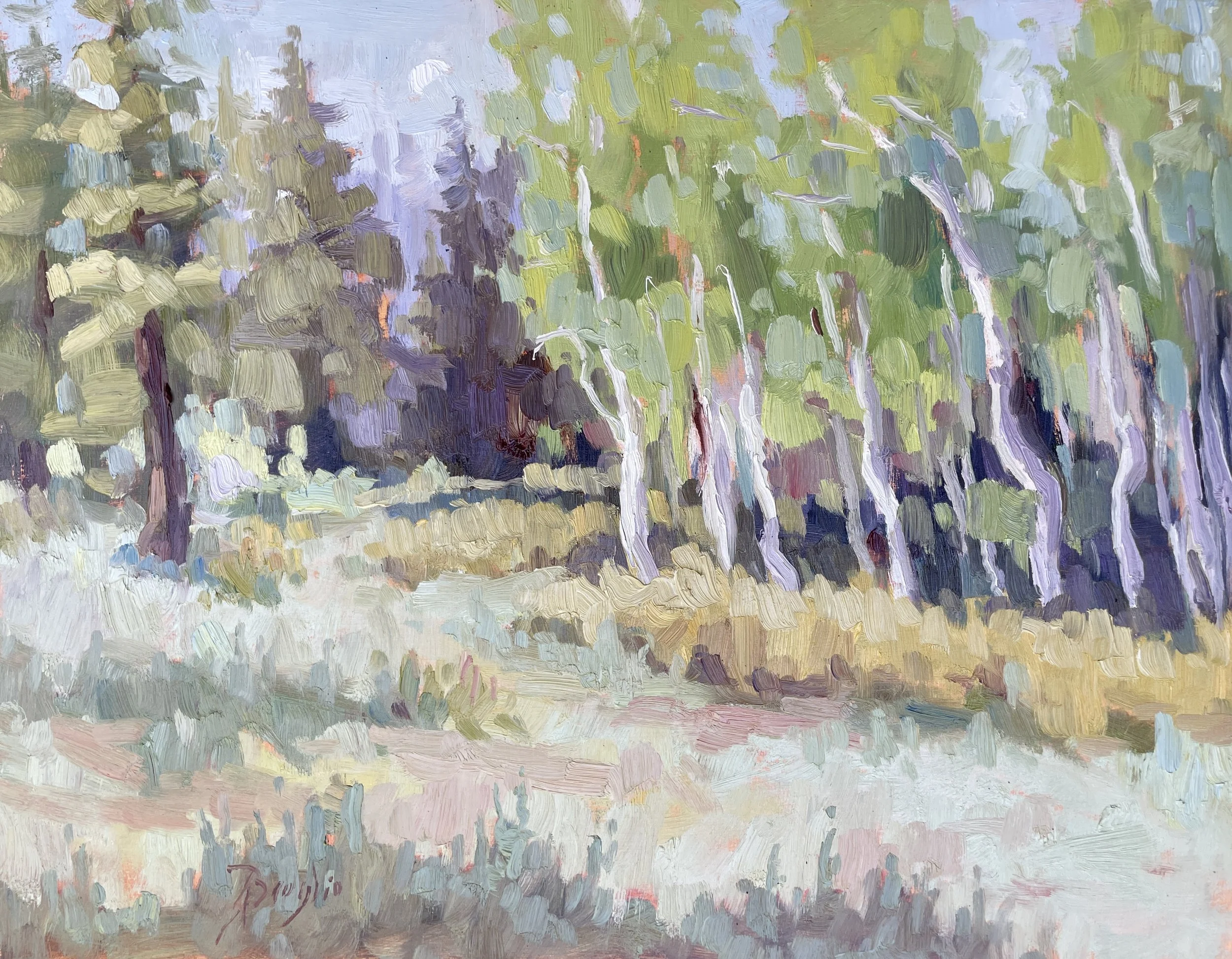 Aspen Moon