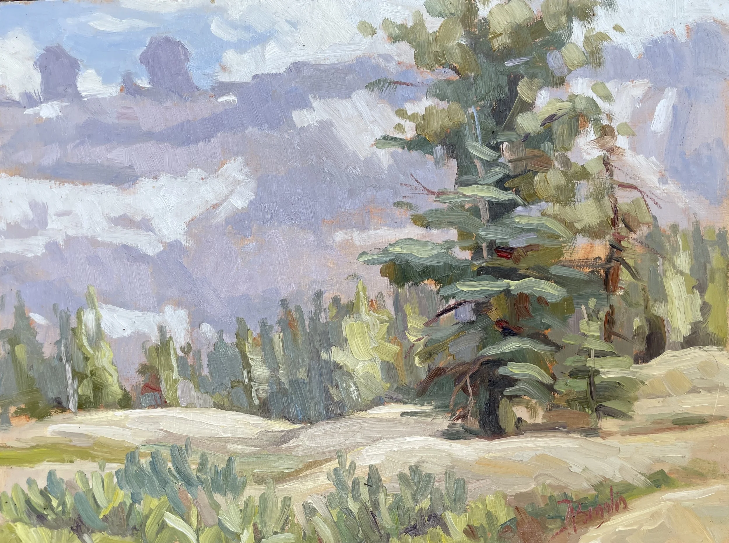 impressionist oil painting of a fir tree on rolling granite with volcanic mountain formations in the distance by Andrea Broglio