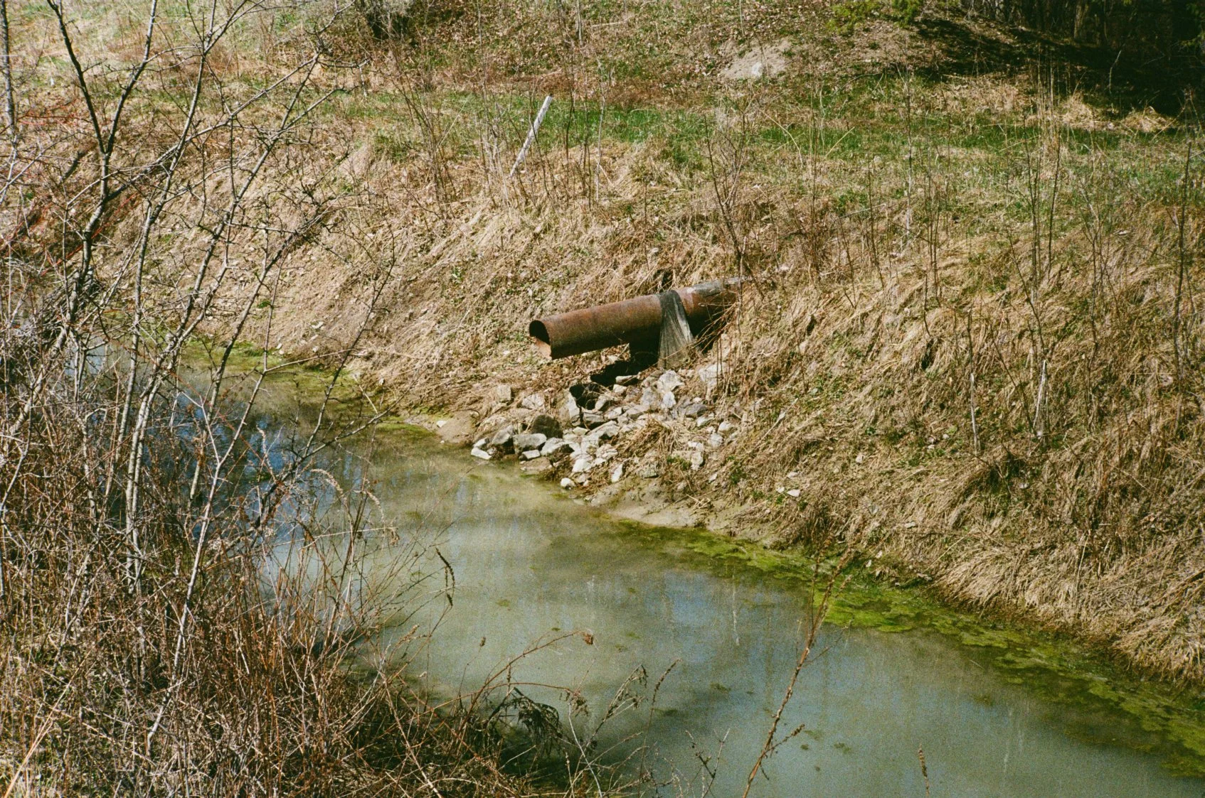 A rusty pipe protrudes from the bank of a small, greenish stream in a natural area with sparse dry grass and bushes along the shoreline.