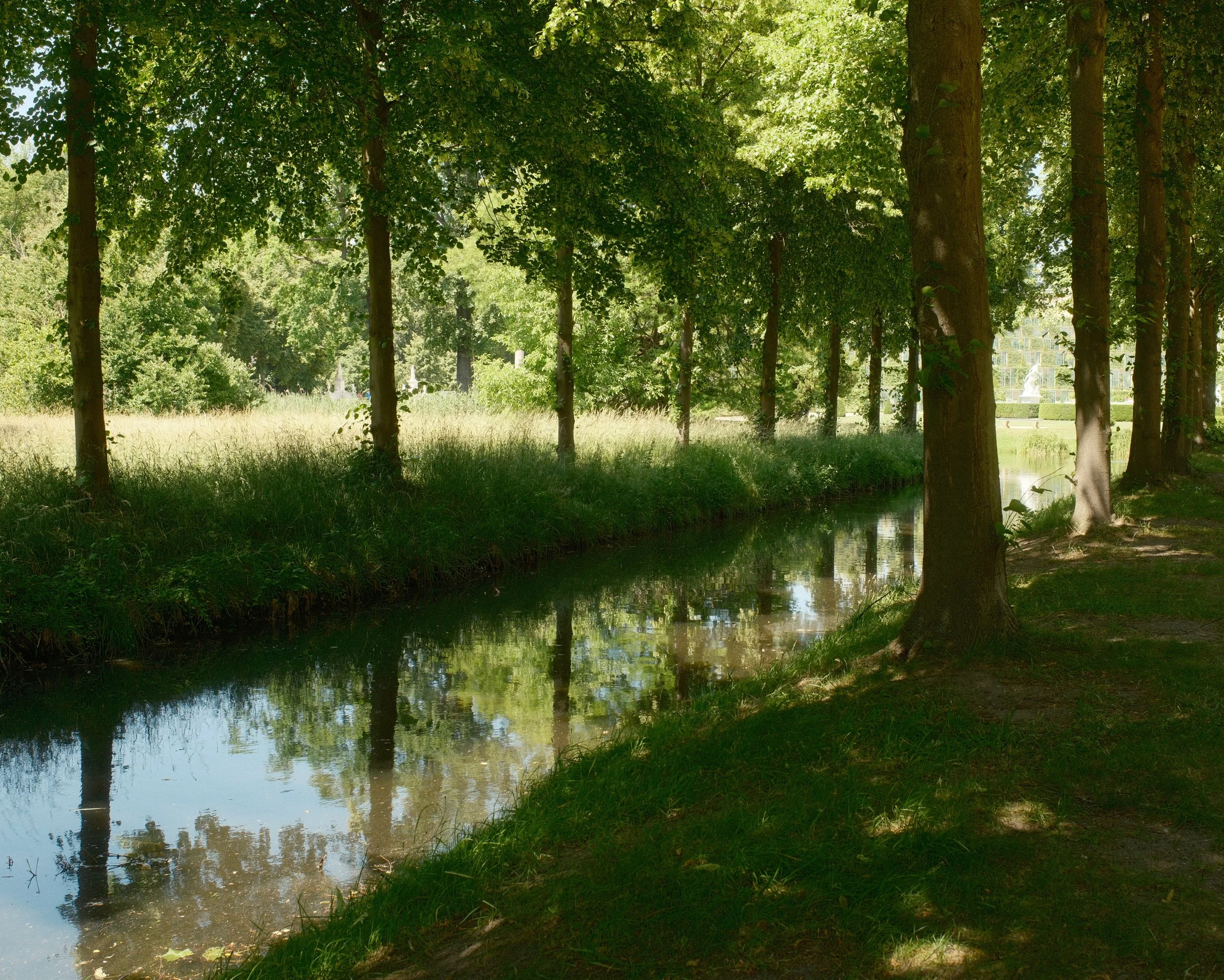A peaceful scene of a small waterway surrounded by tall green trees with dense foliage, reflections visible in the calm water, and a grassy bank along the edge.
