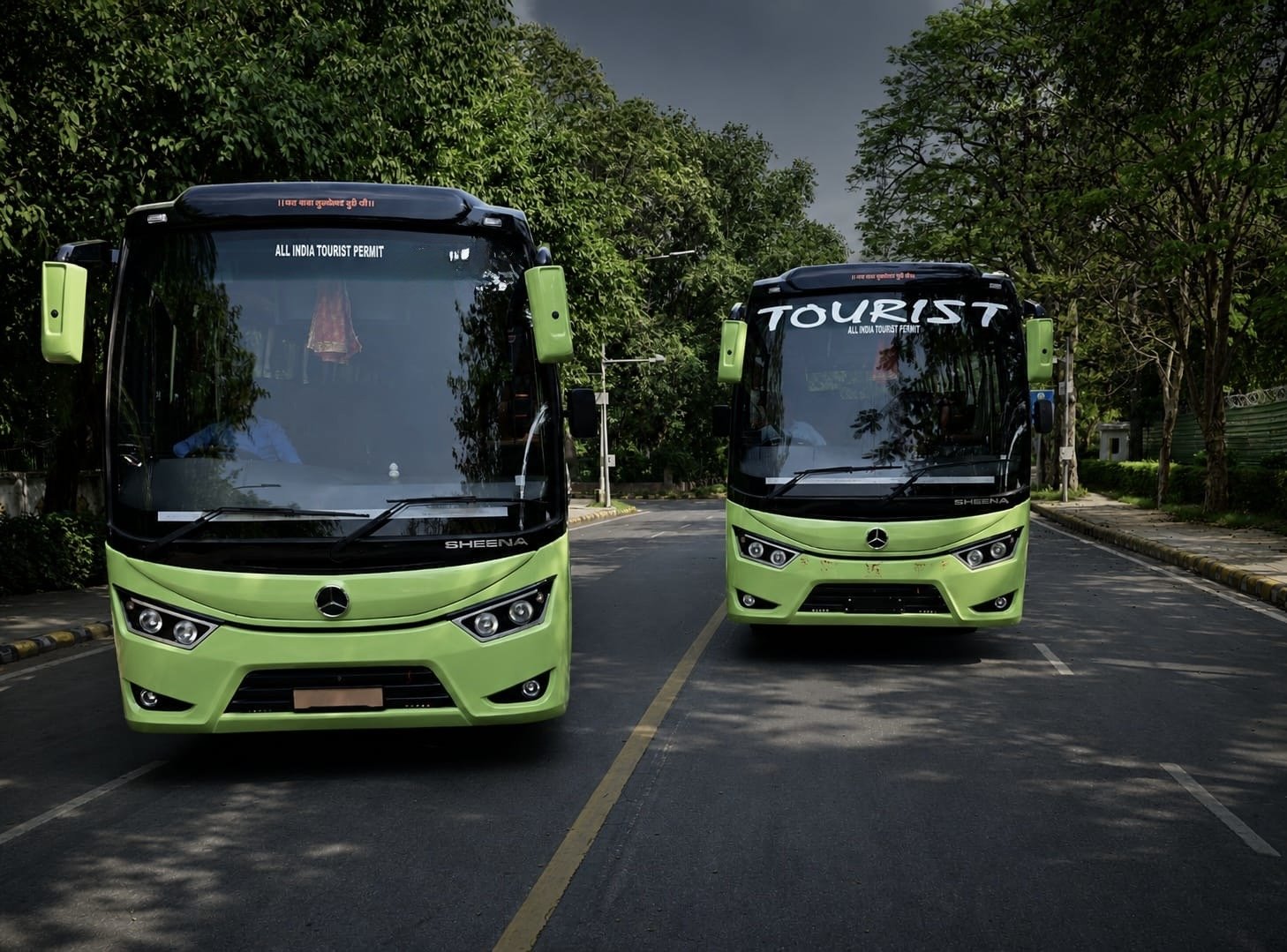 Two green and black Mercedes-Benz tourist buses parked on a road with trees in the background.