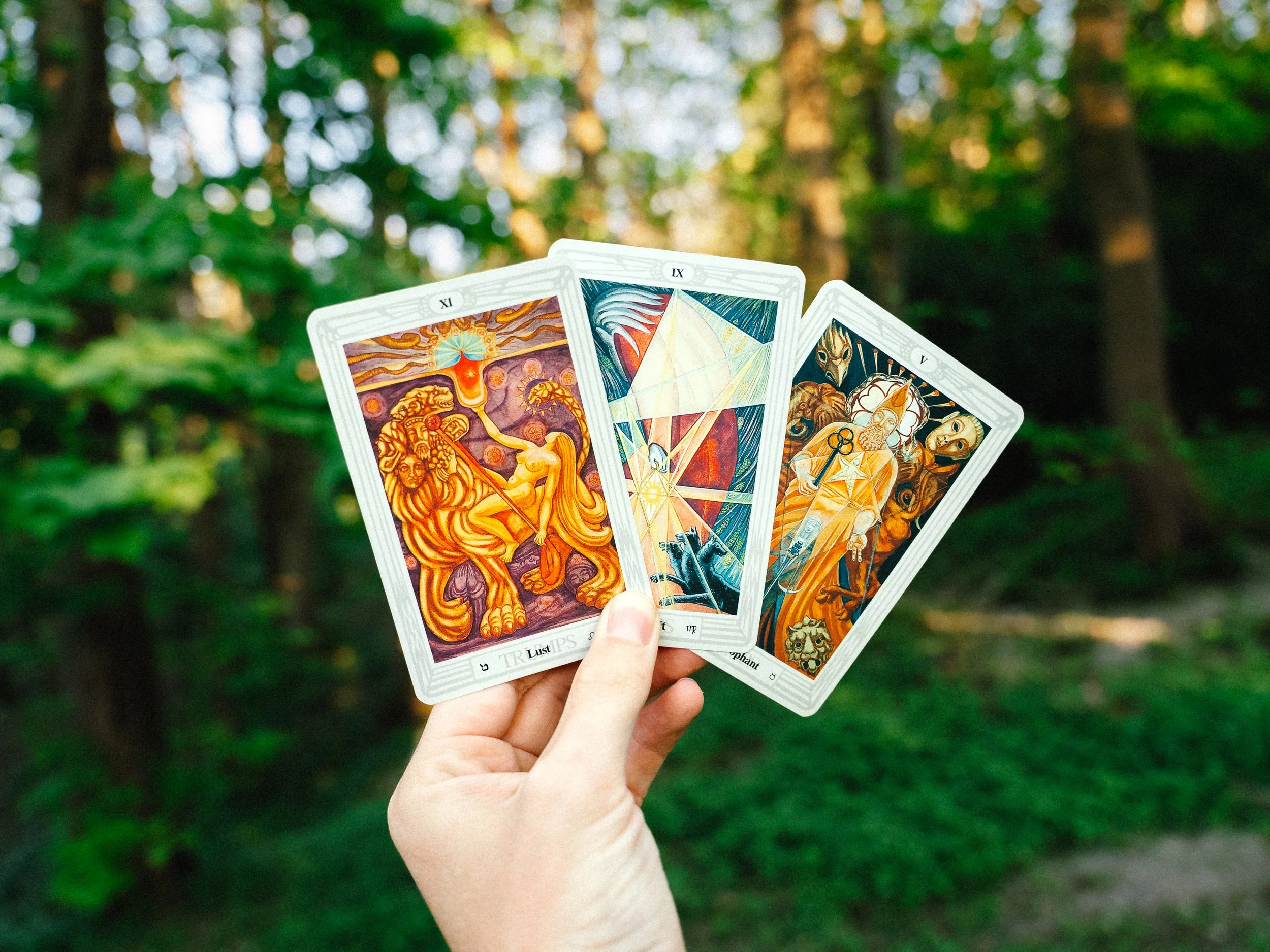 A hand holding three Thoth tarot cards fan-shaped outdoors with a blurry green forest background.