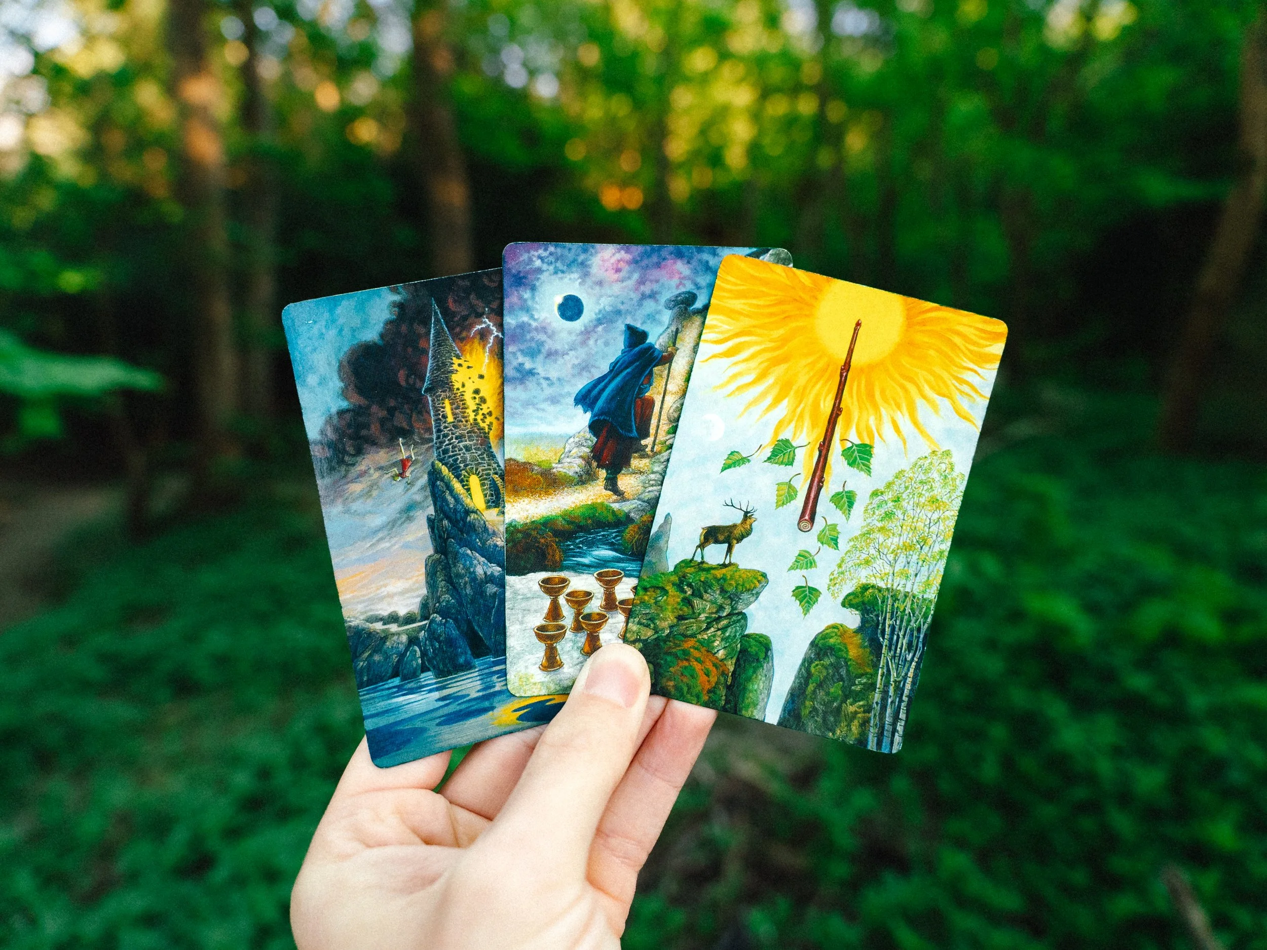 Person holding a hand of Druidcraft tarot cards outdoors with blurred green forest background.