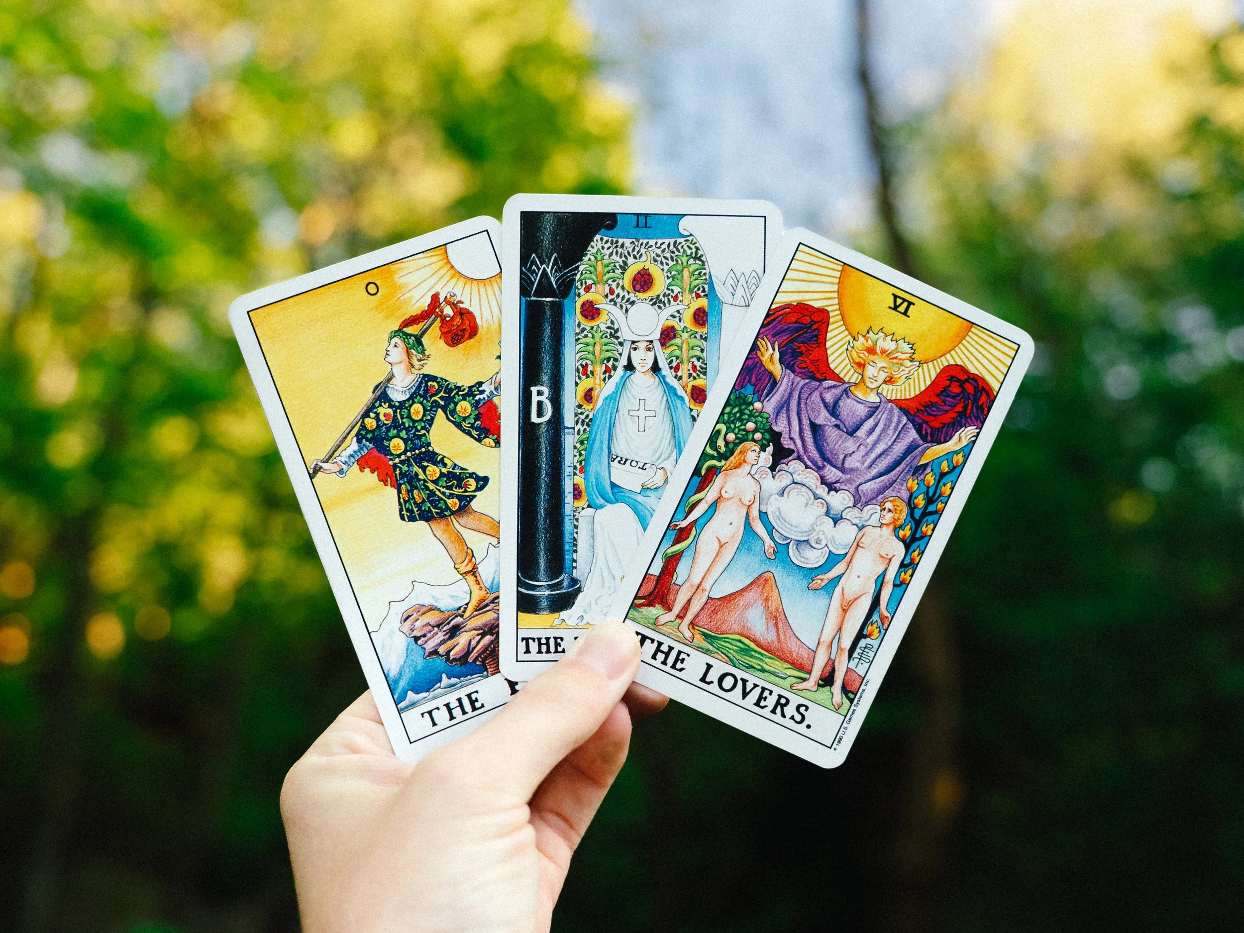 A person's hand holding three tarot cards outdoors with a blurred background of green foliage. The cards visible are The fool, The High Priestess, The Lovers.