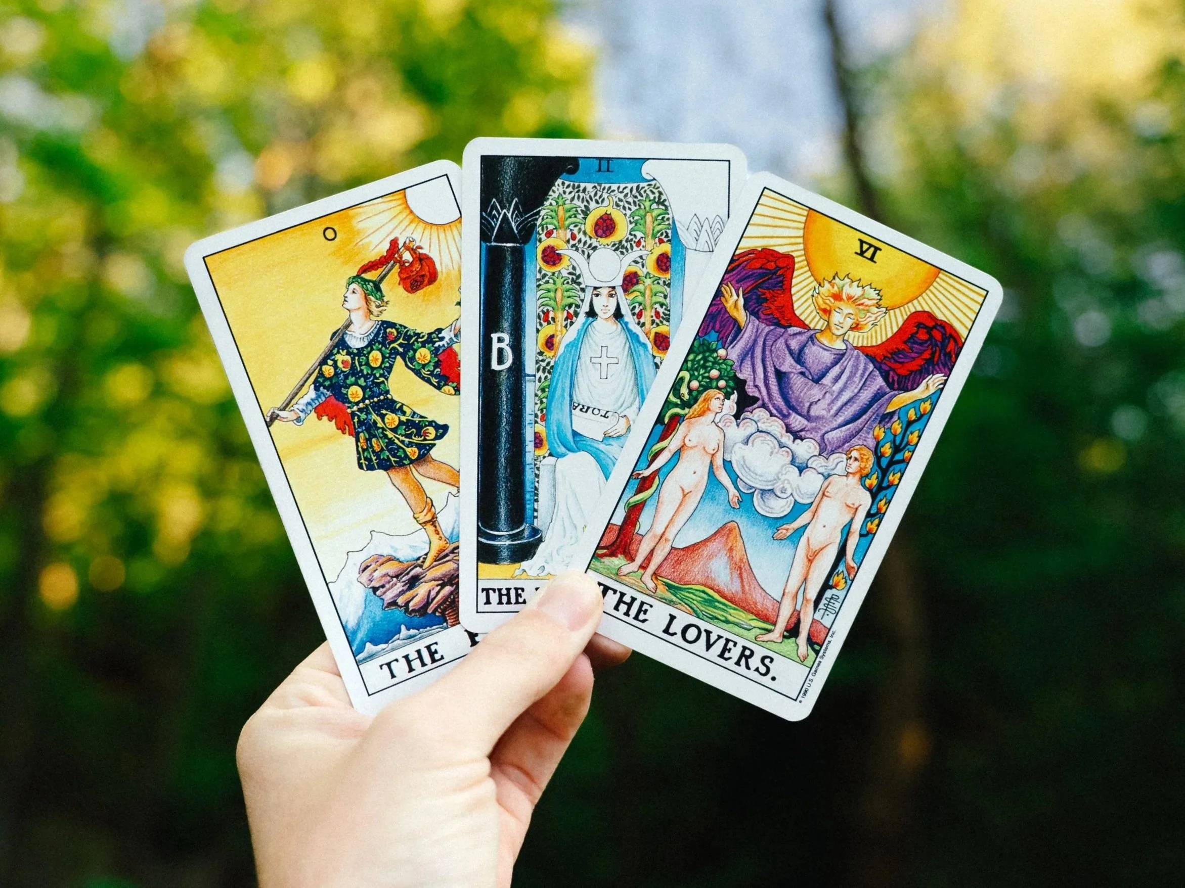 A person's hand holding three tarot cards outdoors with a blurred background of green foliage. The cards visible are The fool, The High Priestess, The Lovers.