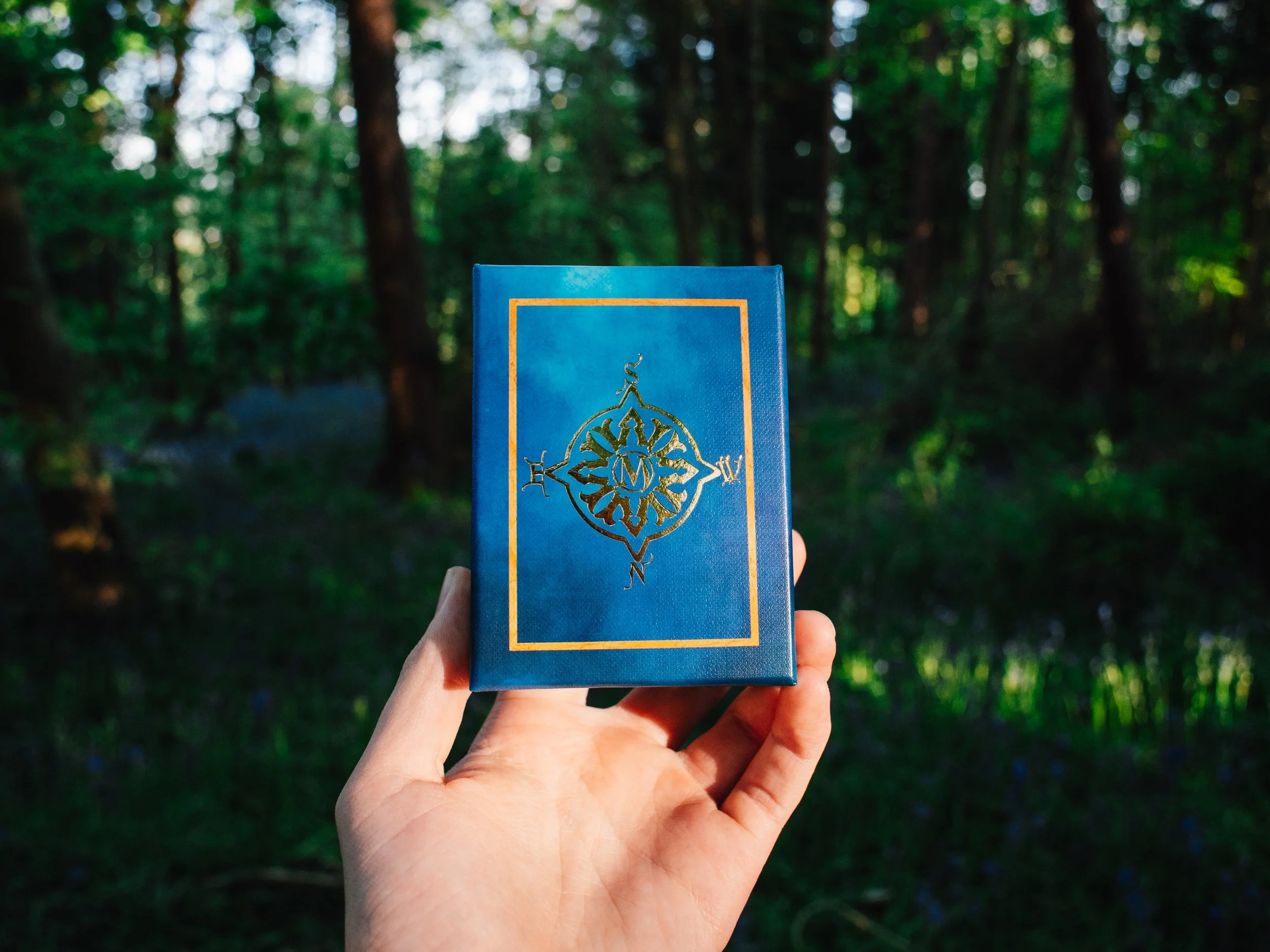 Hand holding a blue box of oracle cards with a gold embossed design on the cover, outdoors in a green, wooded area.