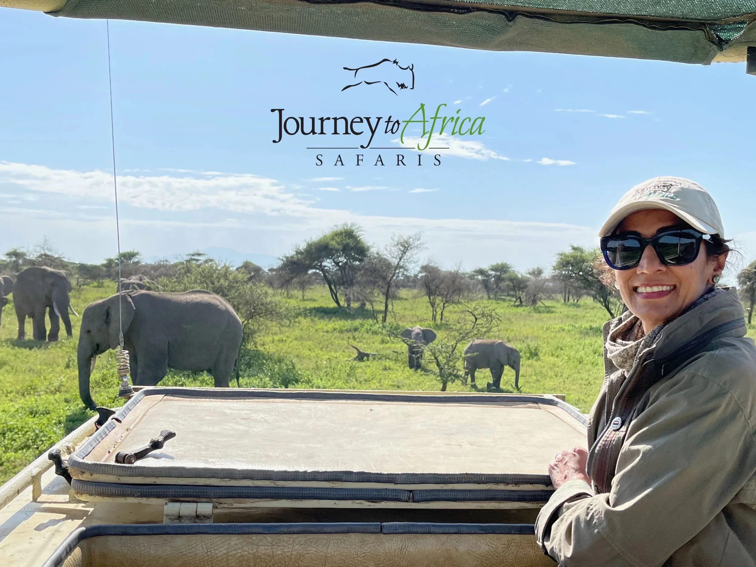 Wild Encounters: Unforgettable Safari Moments from Our Guests